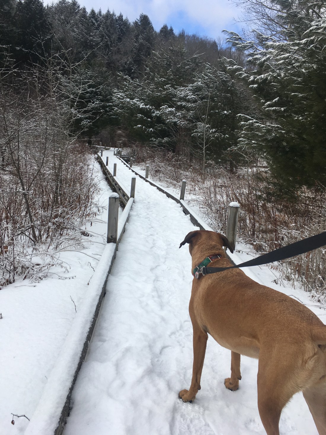 ACC2B9D4-7670-4654-AE9A-534AD330FDDF