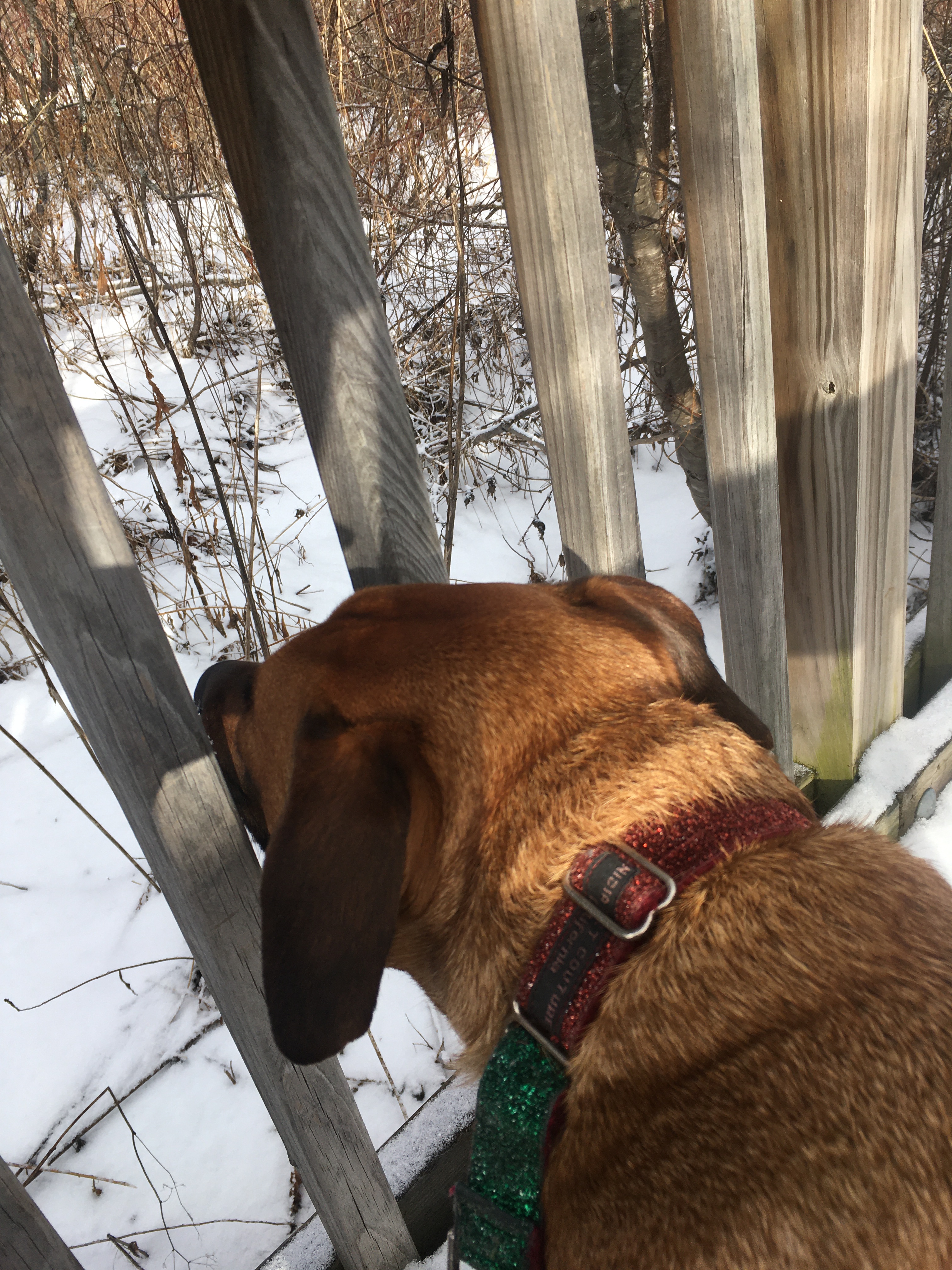 B6205B08-5AAB-47AC-8825-3CB8A6445C9A