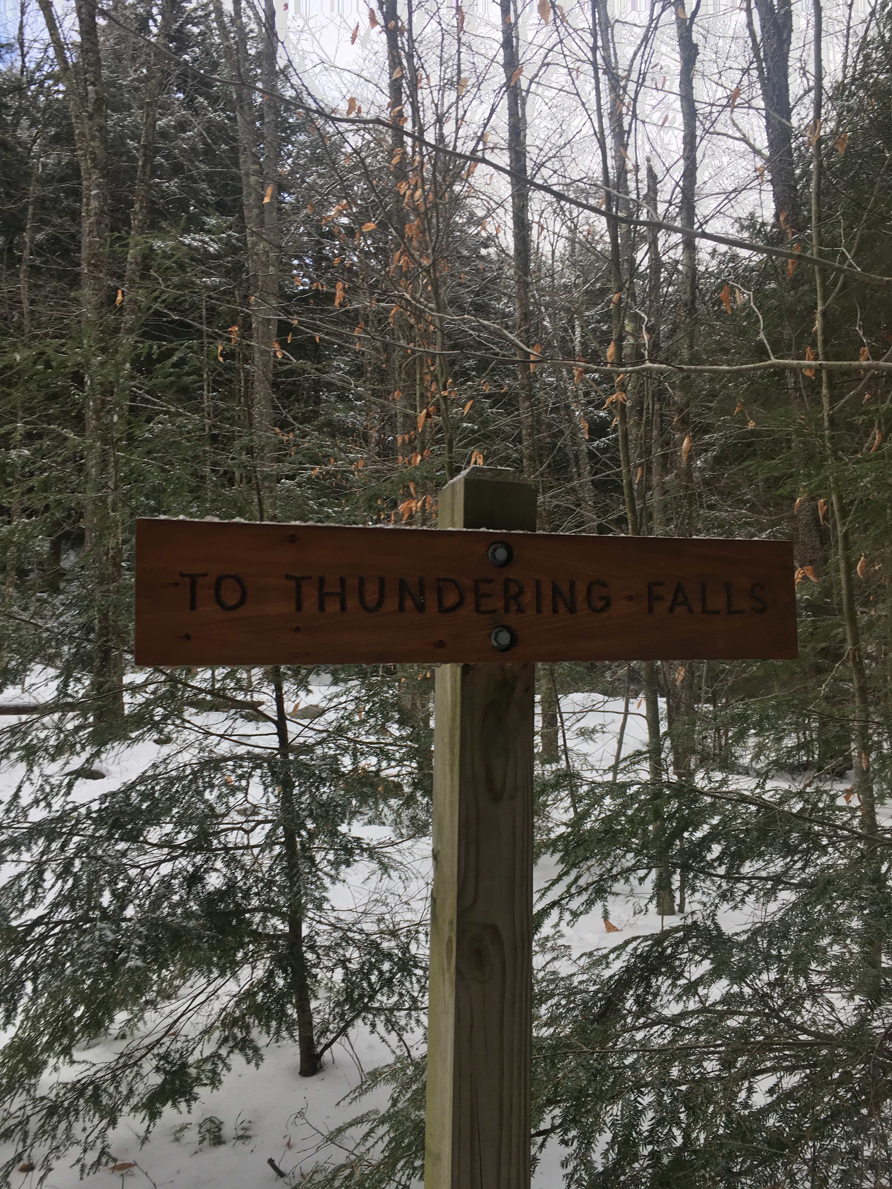 BBE1A6DF-AB1A-4CF7-B4B7-BC56D0C4EA25