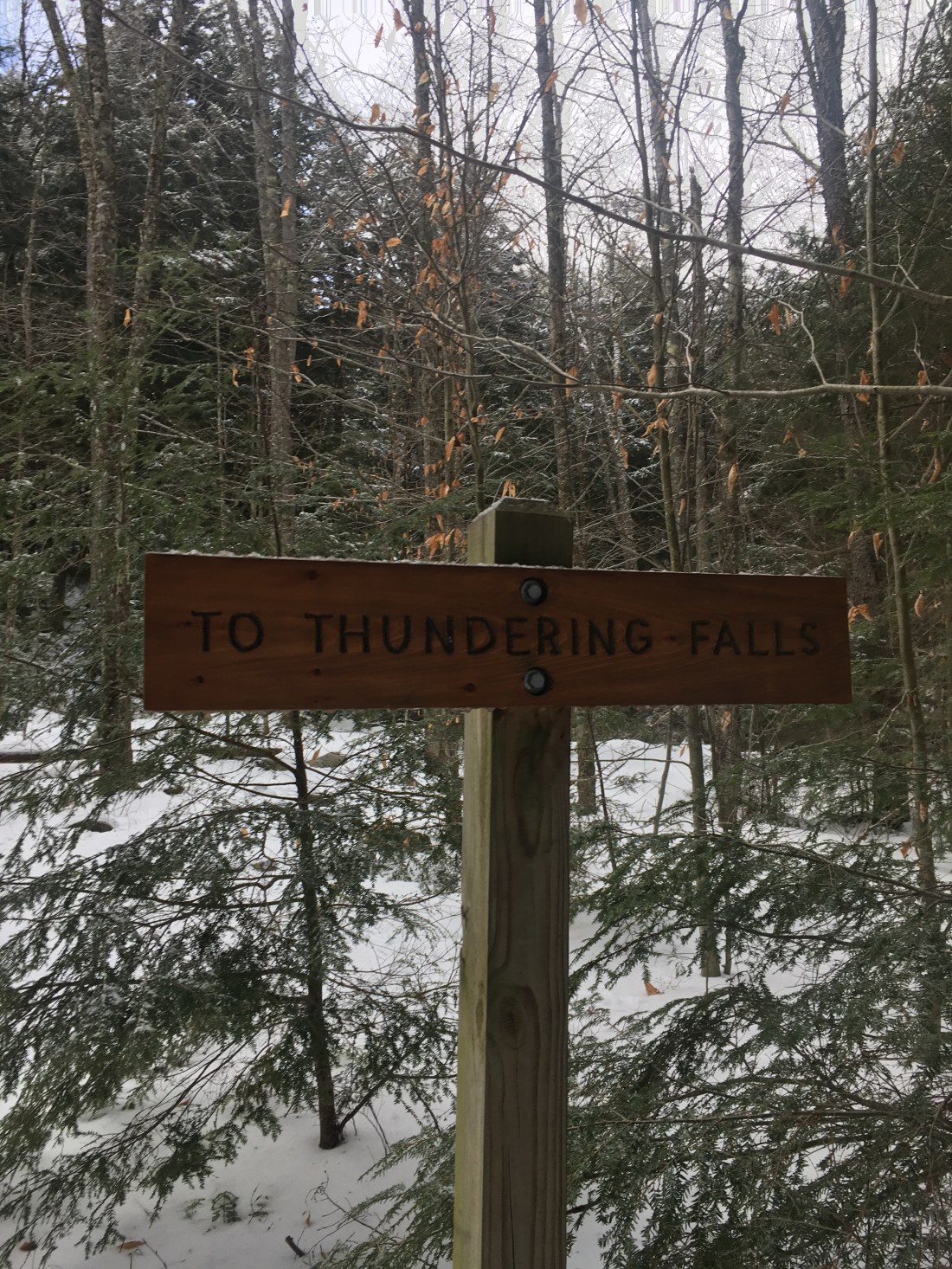 BBE1A6DF-AB1A-4CF7-B4B7-BC56D0C4EA25