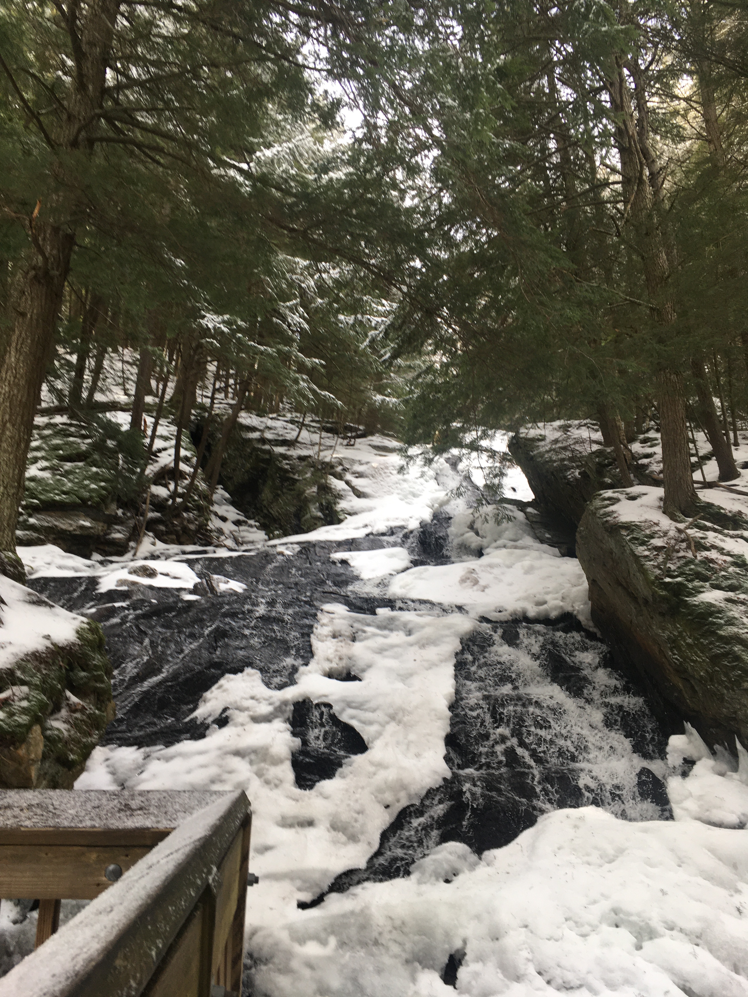 C1291DBC-25B6-41EF-A433-5CEA62B6EE81