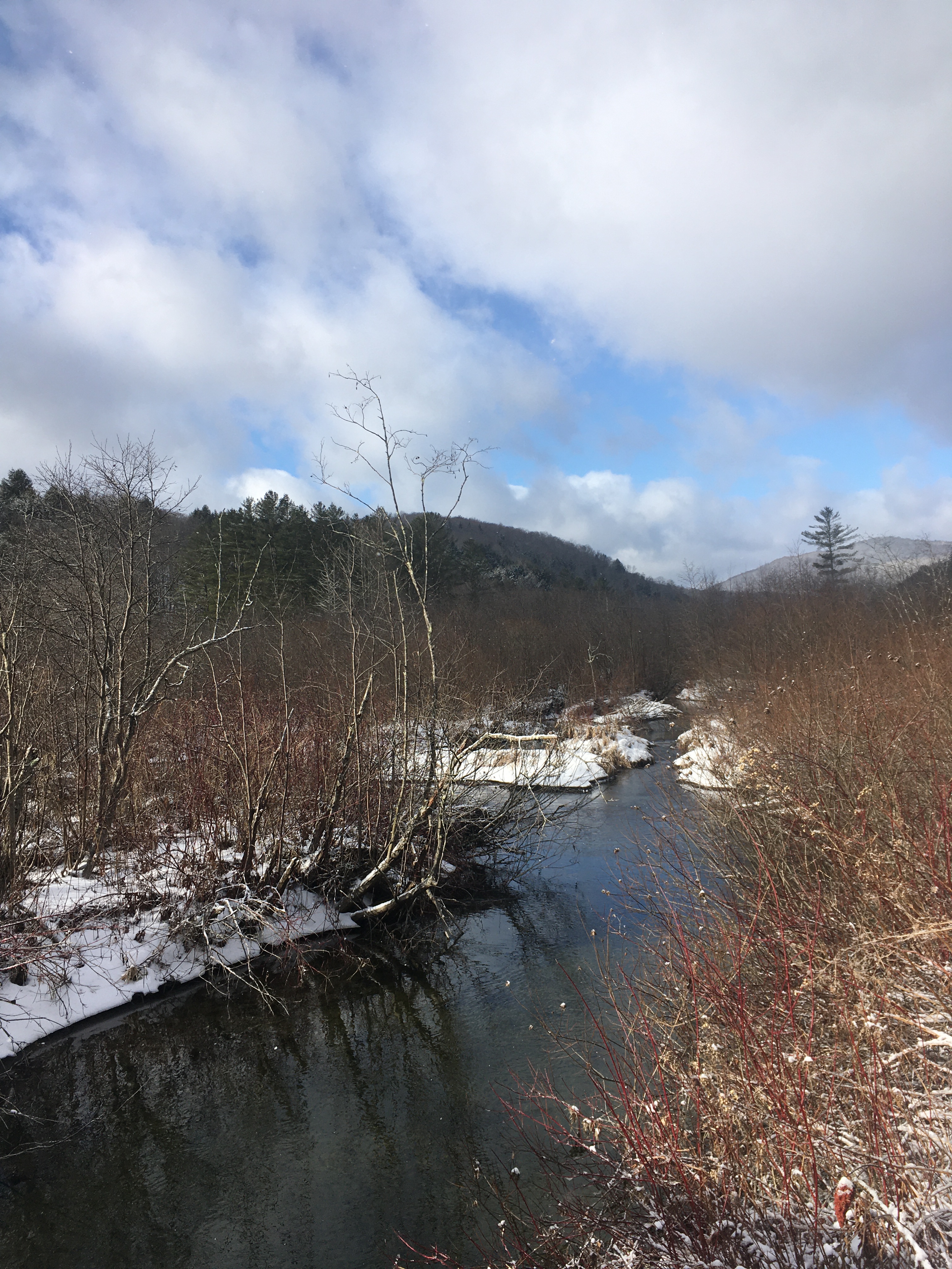 C68D70CB-B7B1-482B-A34F-CC186CBE0276