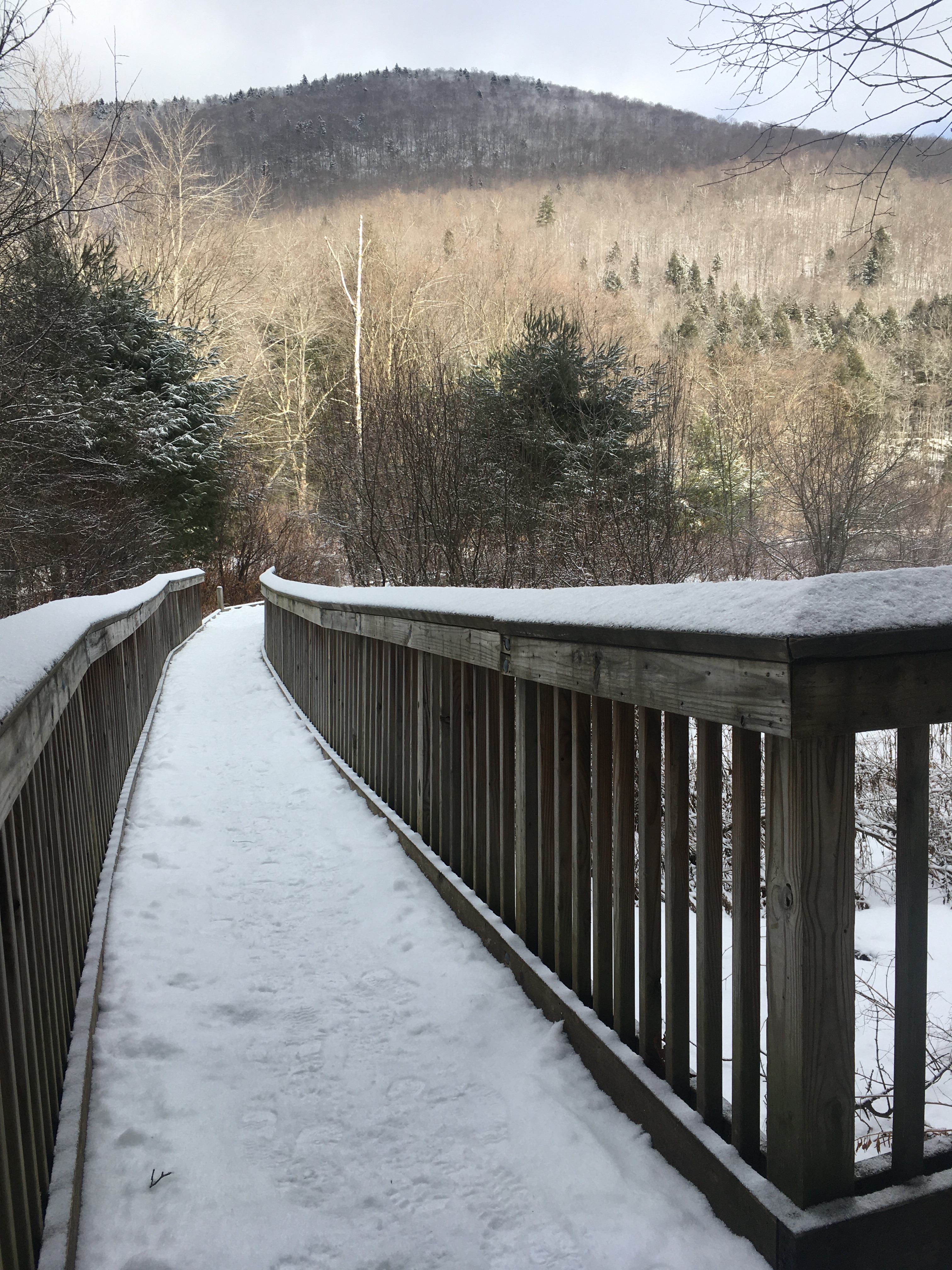 D032603F-284D-453C-8332-843D6E454D5C