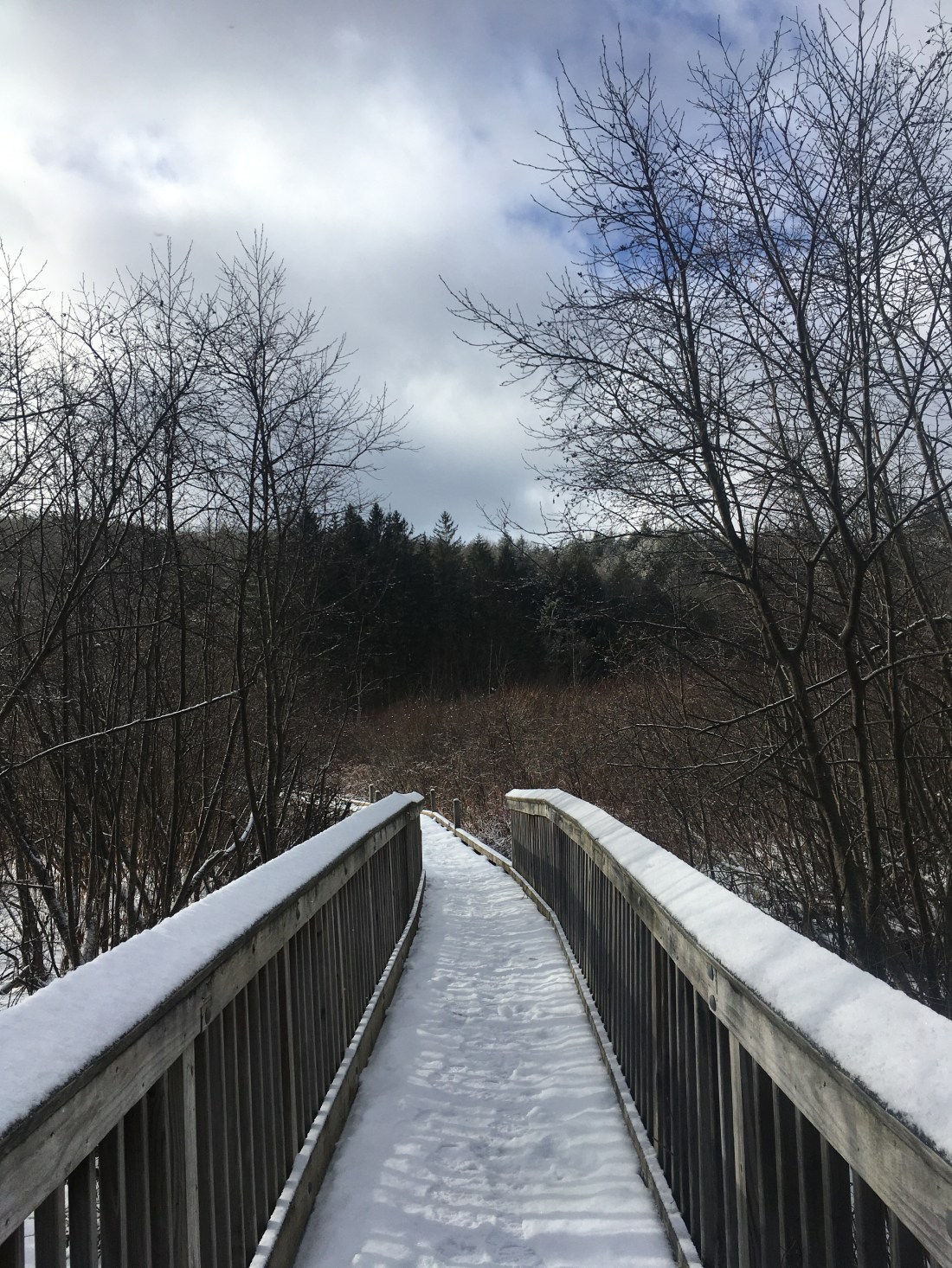 D4DD8A56-D5C0-4E10-8945-54E0C8CCA4AE