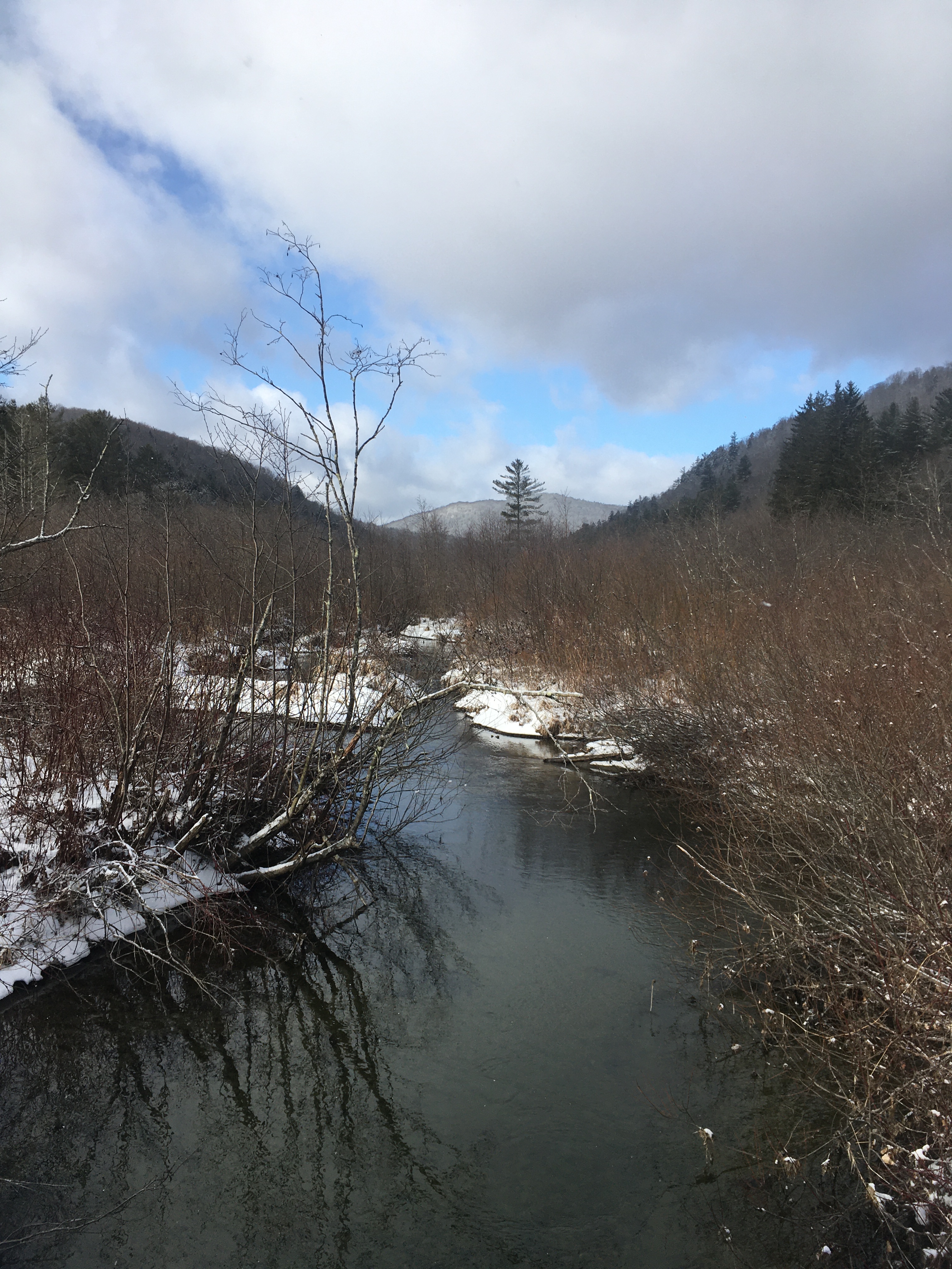 DBD38D73-421C-4458-A8DC-D858C733369B