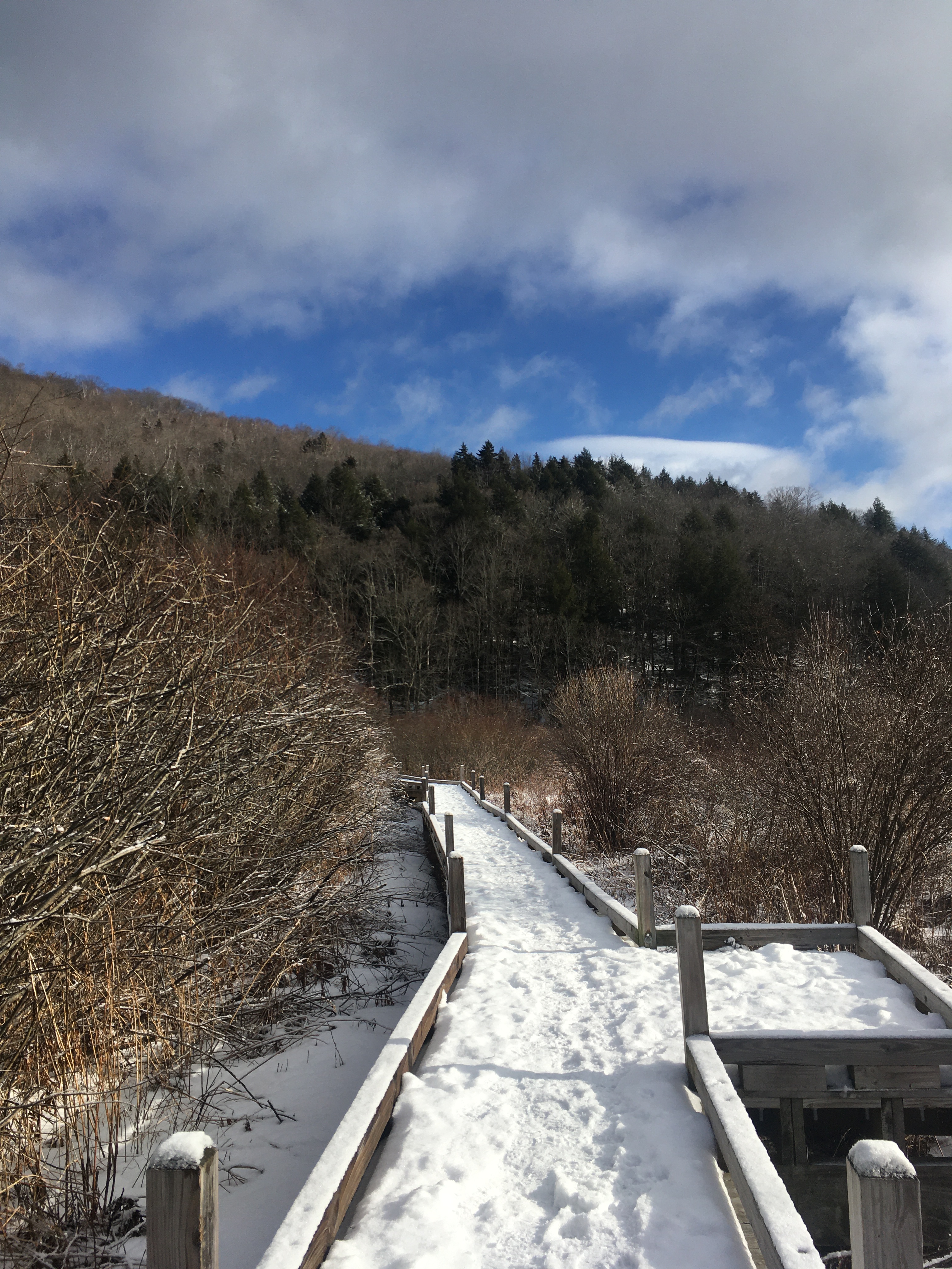 EB5E8EC9-EDE2-45A3-8327-AB49BCAB9B20