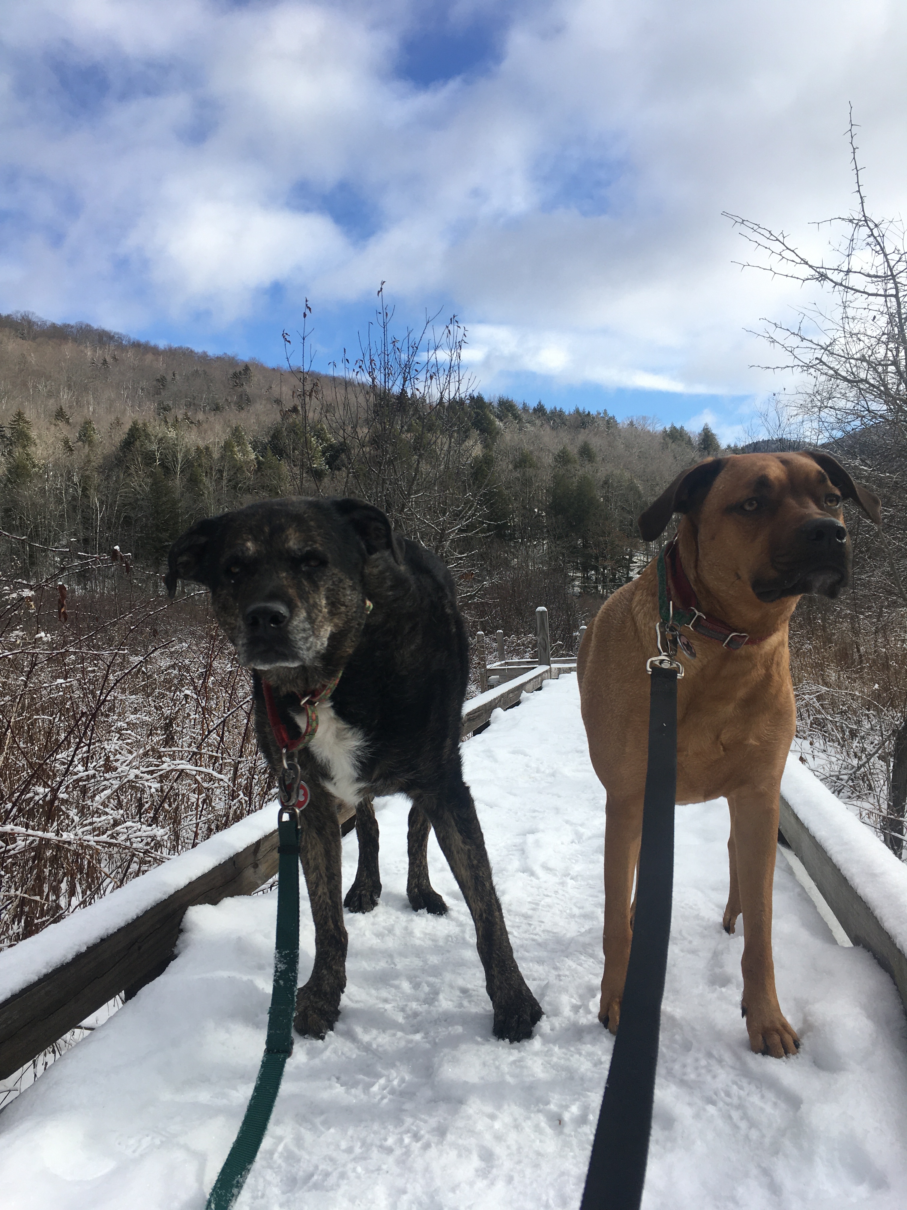 EDB8BBA6-ACA8-48B4-A7F1-A9D686E42518