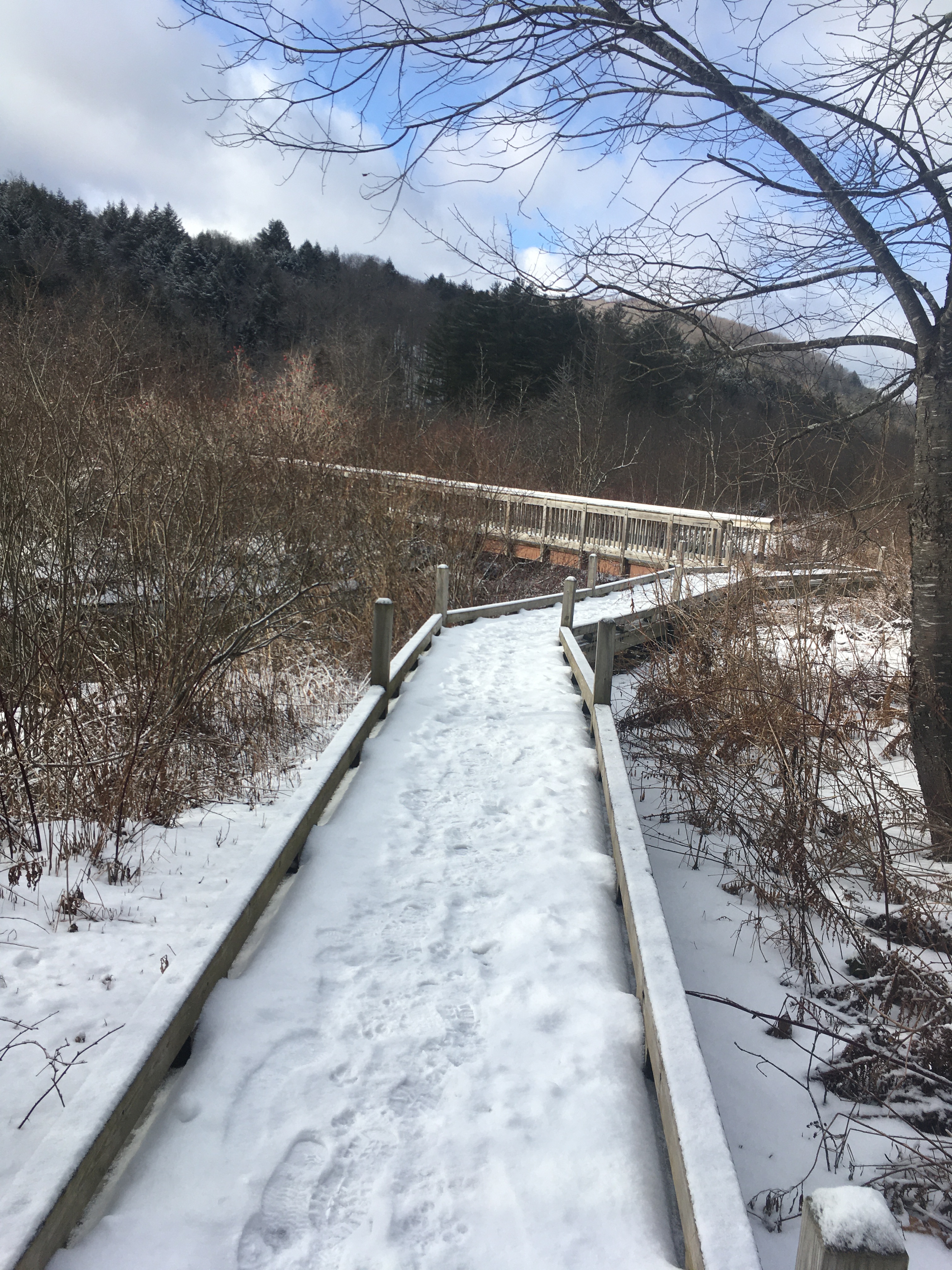 FB7461D1-D21C-46E0-9E3E-59783FE9E1E1