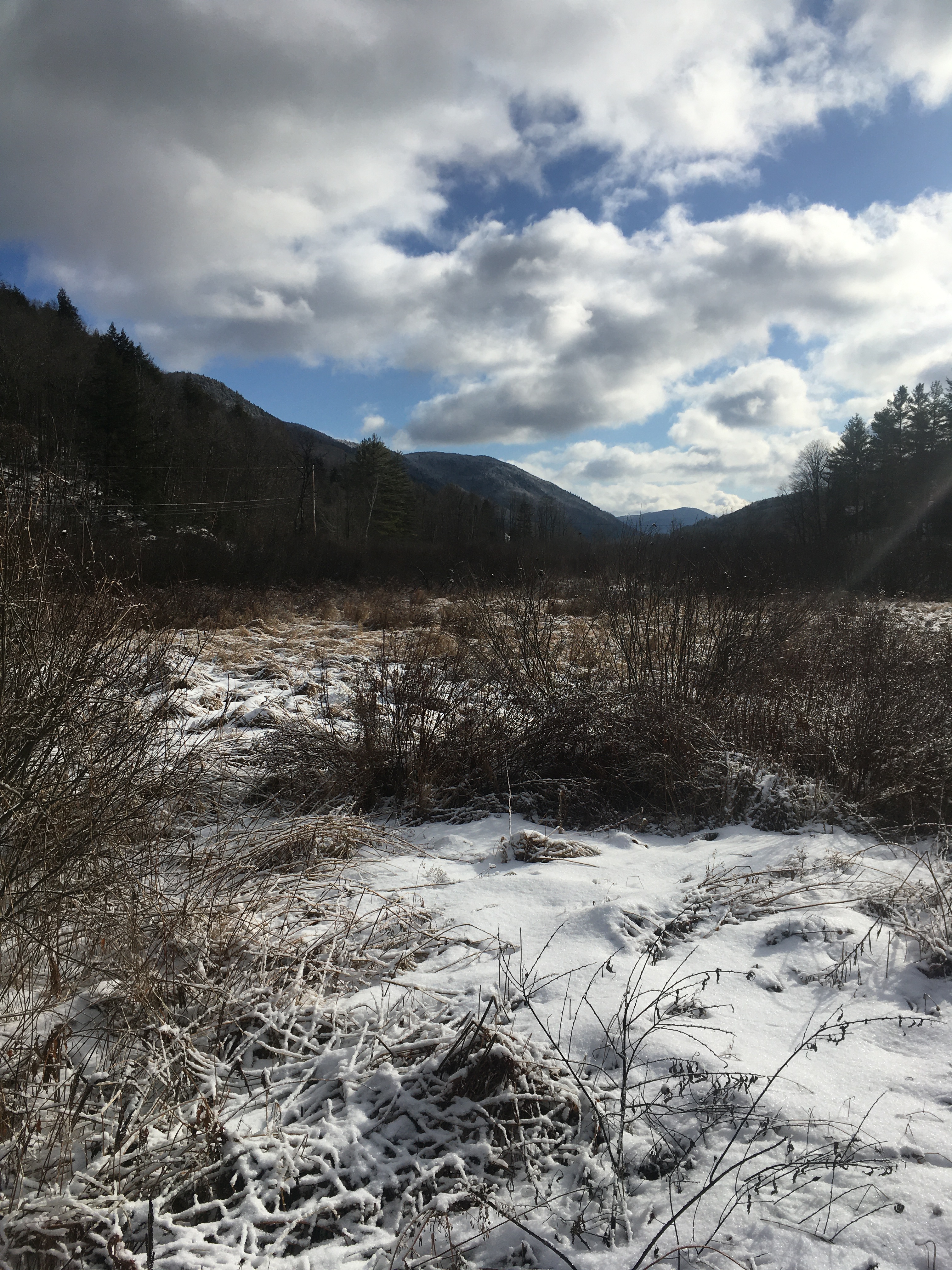 FC0873B7-FDDA-45C5-889A-A839FD79EF20