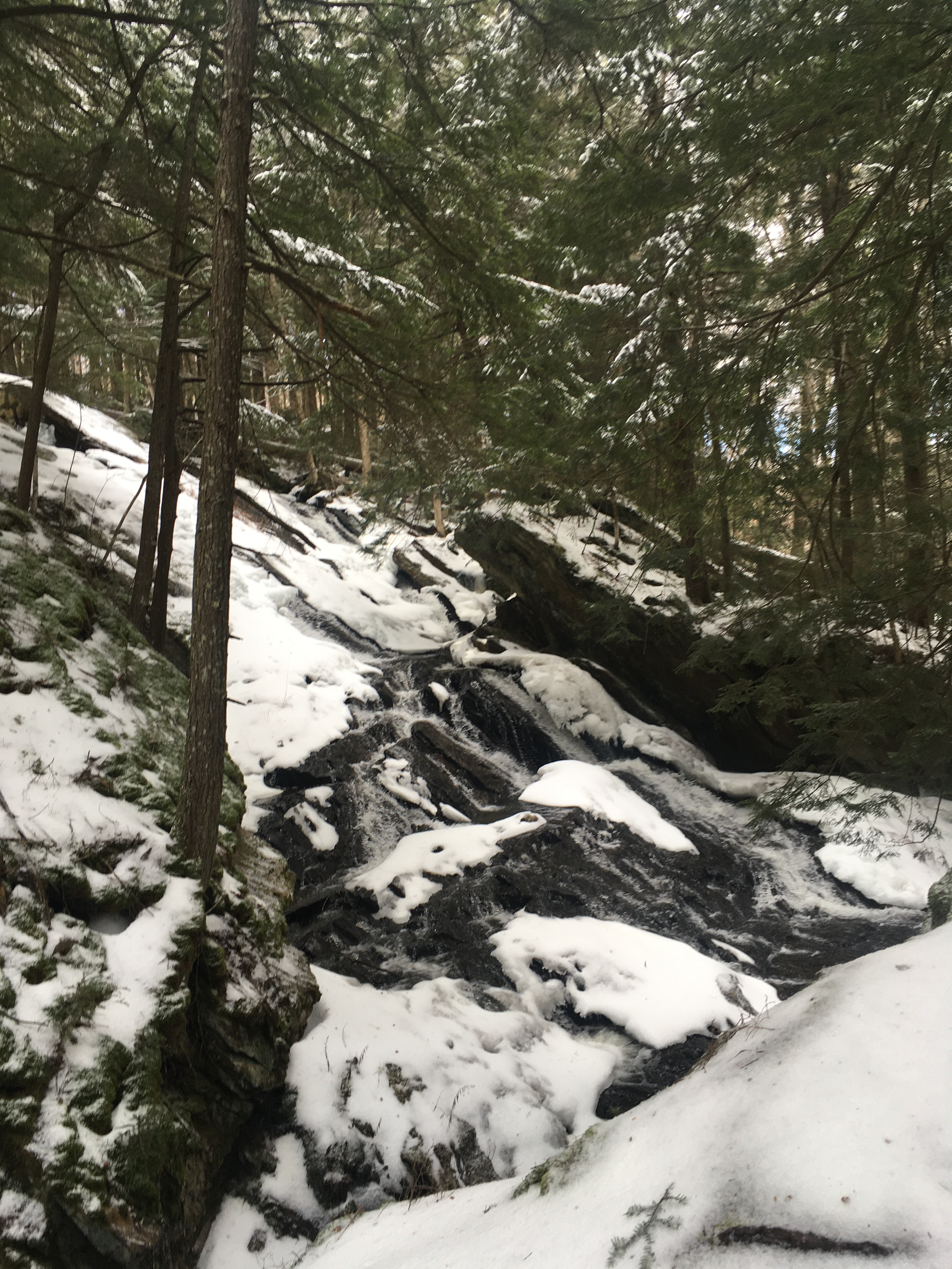 FC9BDF35-BDDD-4F8B-AE85-450CD193494E