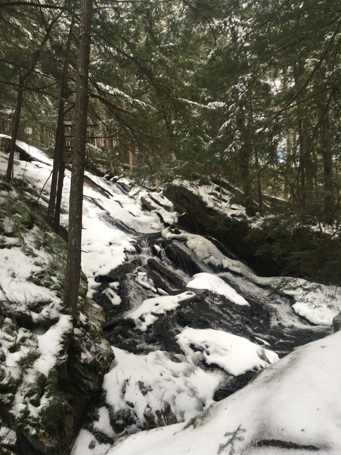 FC9BDF35-BDDD-4F8B-AE85-450CD193494E