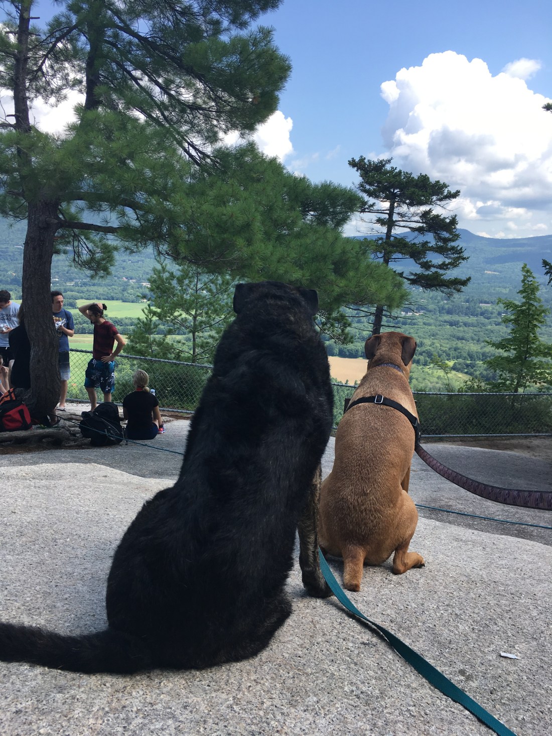 DDDC1C1C-36BD-4F28-9DE2-F11E4999D895