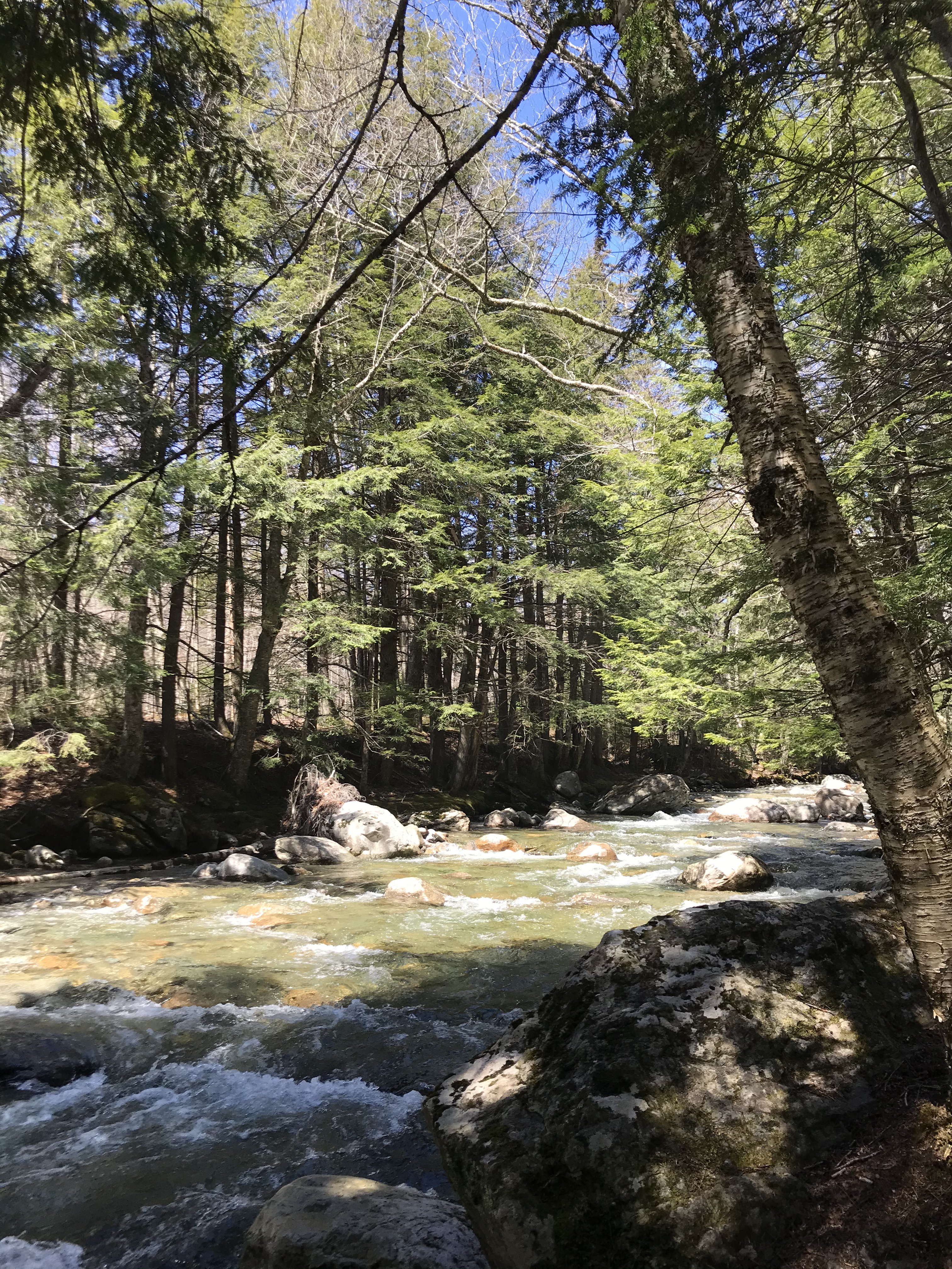 0266C0F6-DC26-455F-AF49-B39A8EA4781C