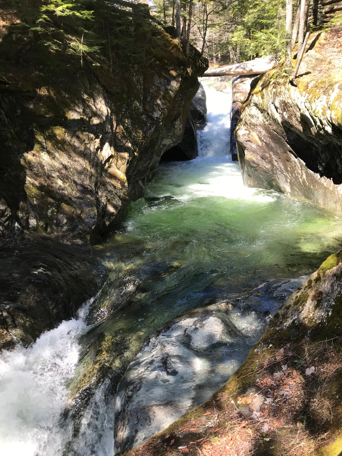 0557F462-07BB-4D82-B9F1-EA71DA29D354