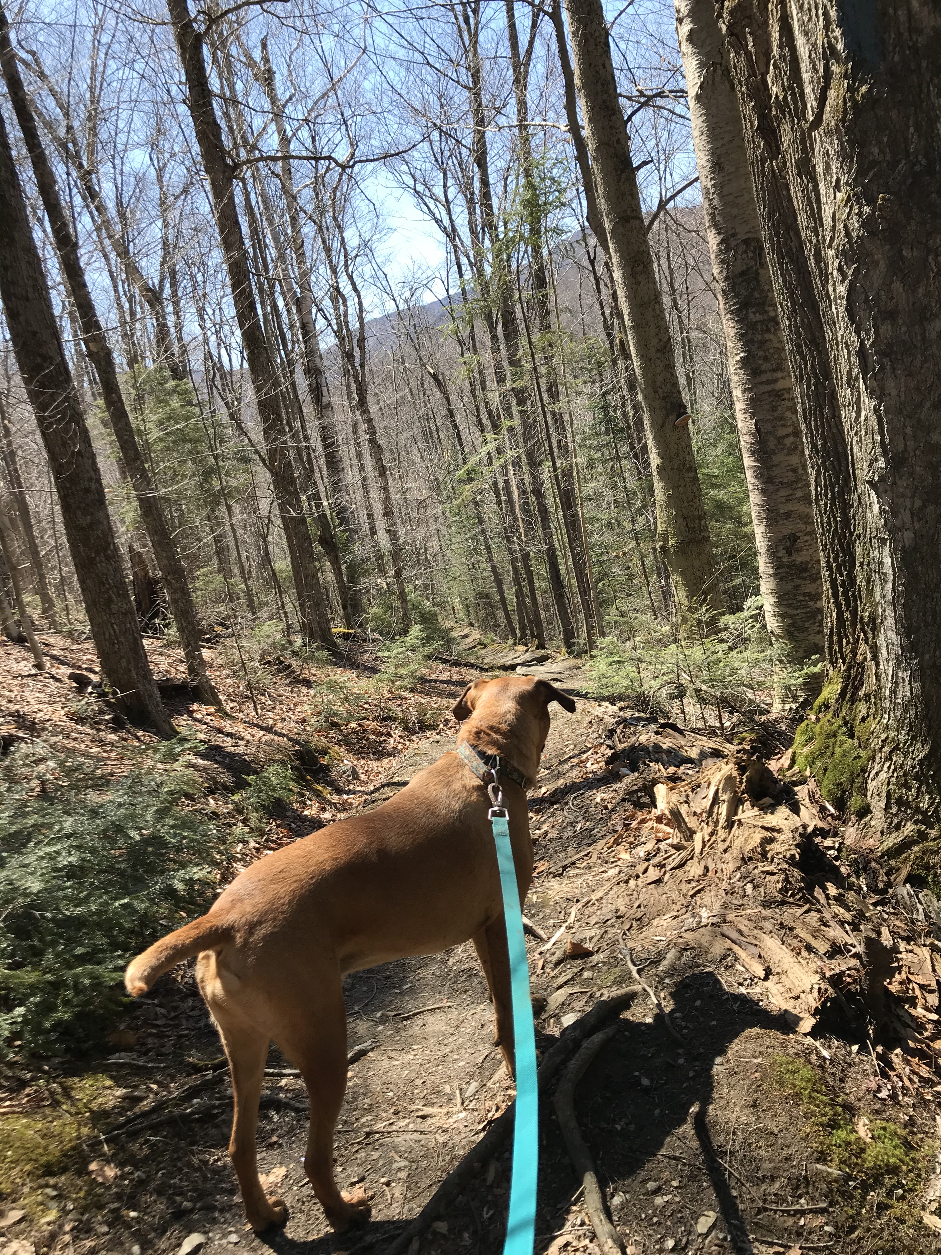 0808715C-9757-4221-9EAA-21E712351AF5