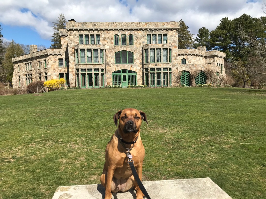 152B1C9B-FFBD-4B35-A3F8-41B668565F0D