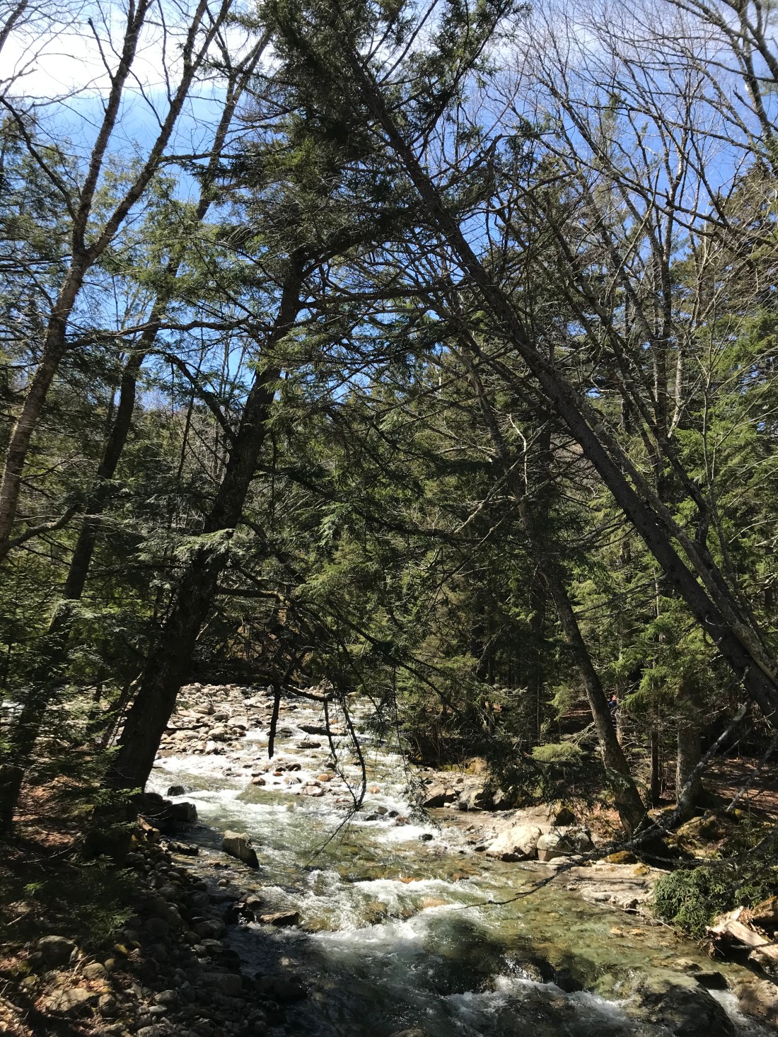 181B6C28-A675-4703-9DBF-FCCDC0180DBF