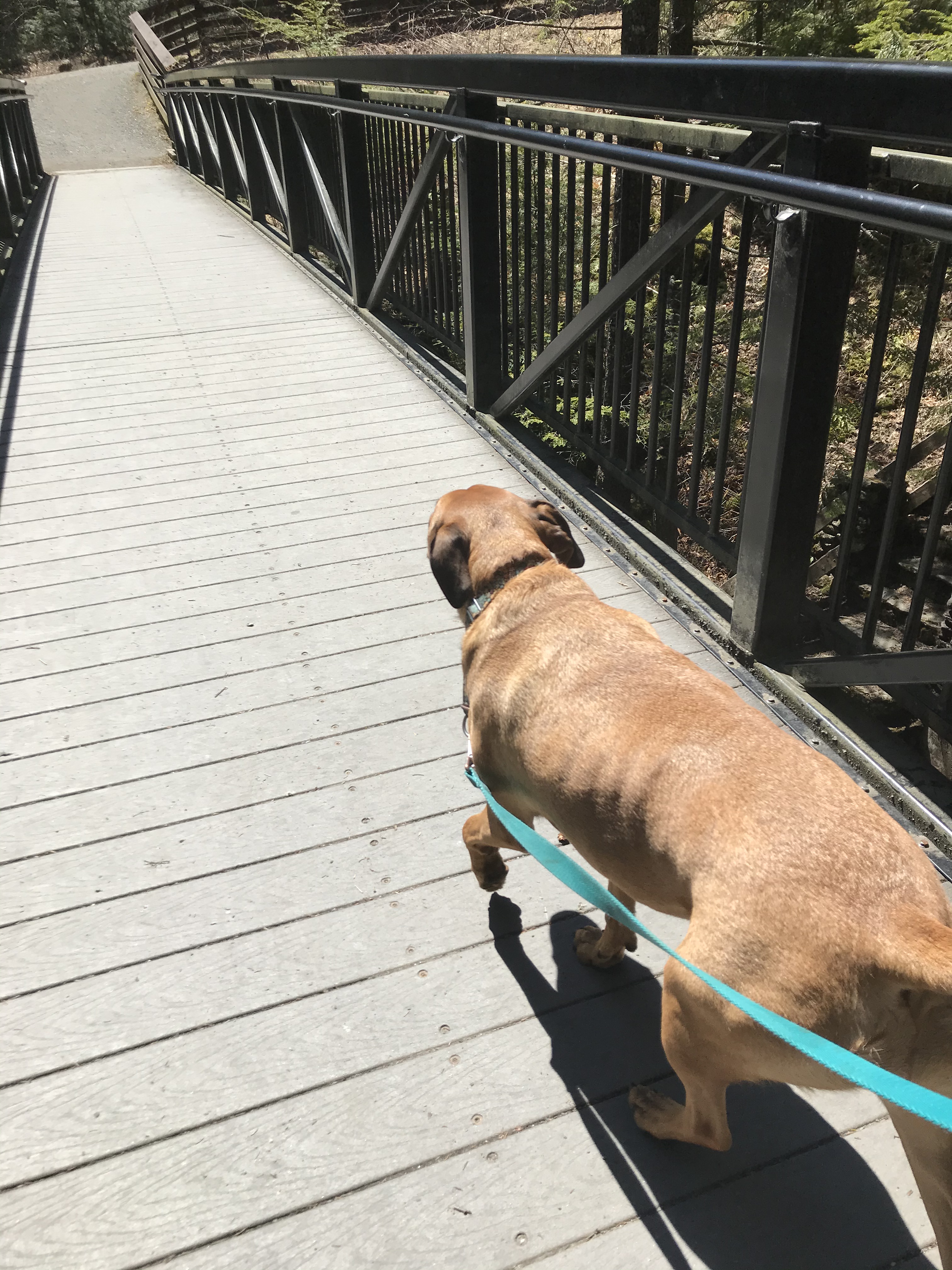 183C7FFD-1DCE-4408-9276-7FBF263BD09D