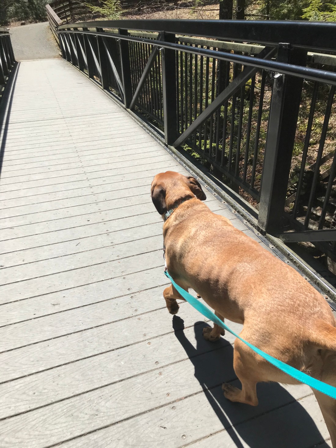 183C7FFD-1DCE-4408-9276-7FBF263BD09D