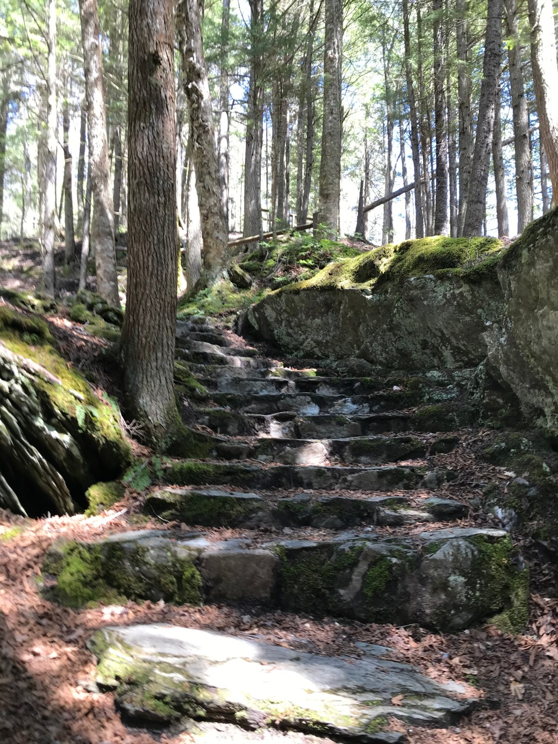 21657DA0-9781-4955-B088-764CA822F779