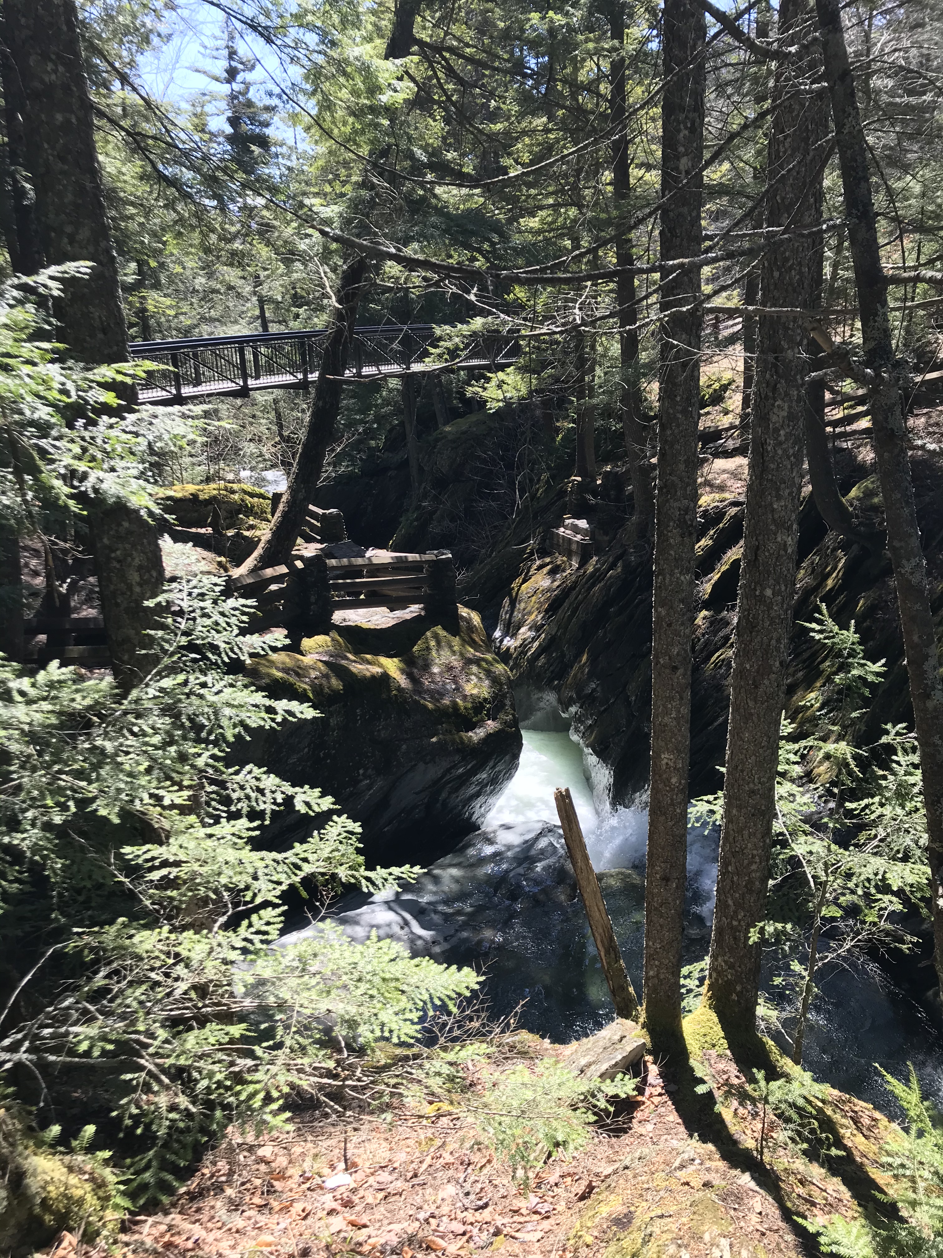 276D49DA-9884-4263-9F0E-29847AD9A8E1