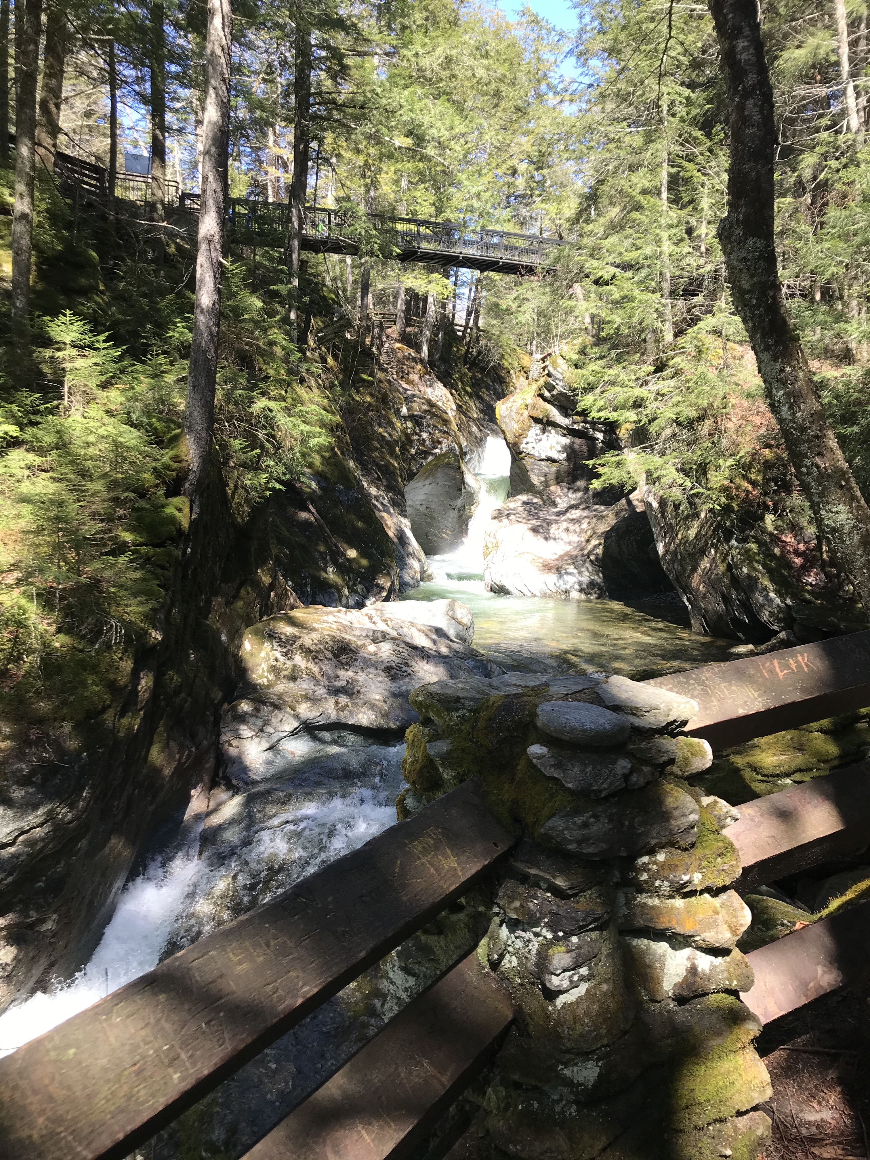 359C8563-EBC1-42A9-866E-91B9F1F38593