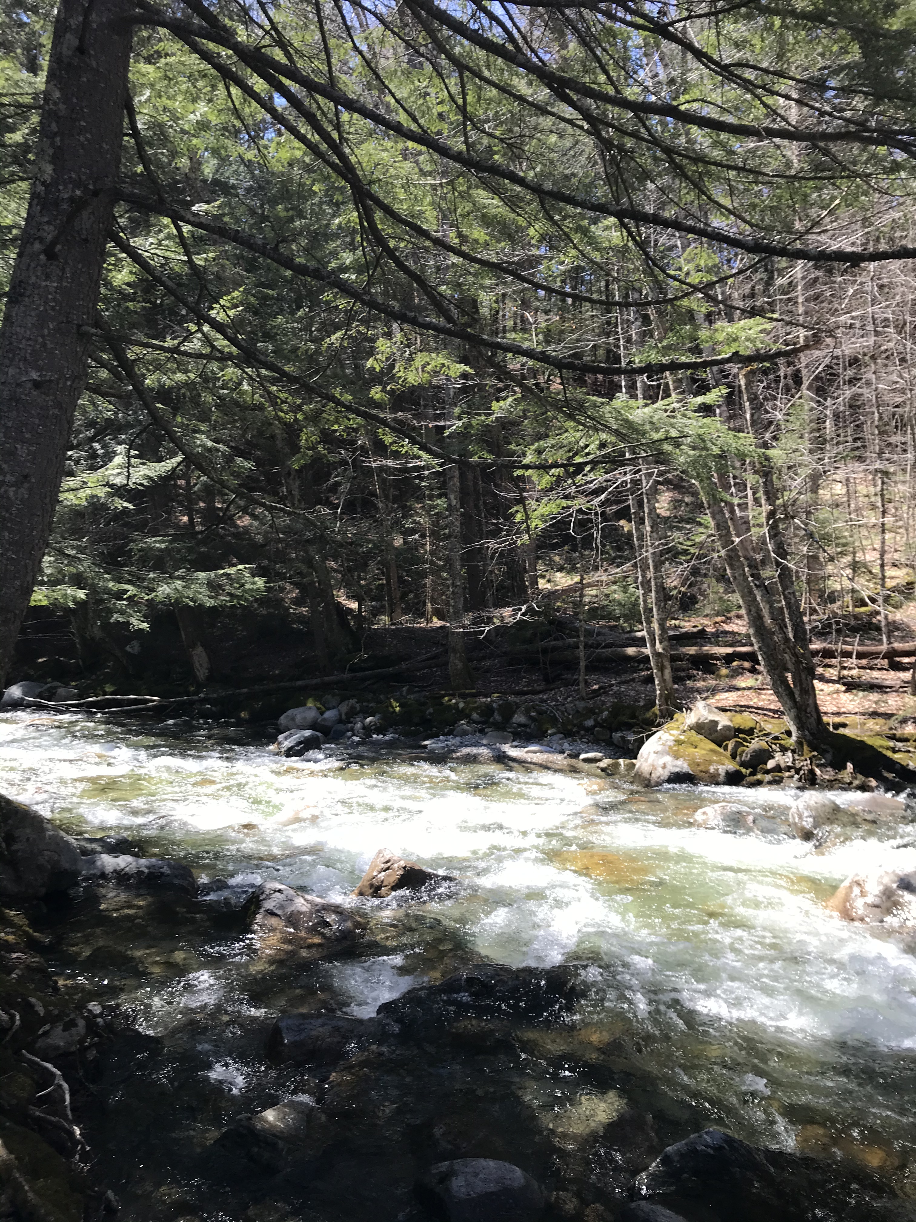 381D0853-2834-40B1-B946-411127CD30E2