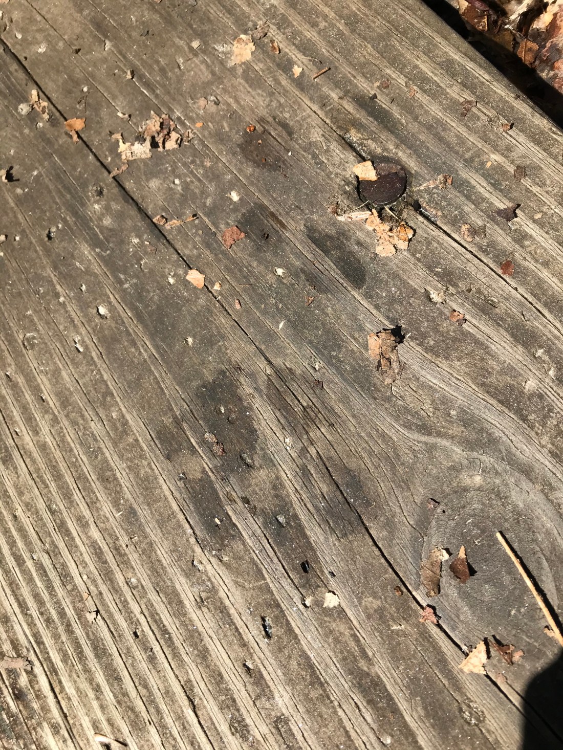 3B29832A-F25F-4096-87F6-3DF879354BCD