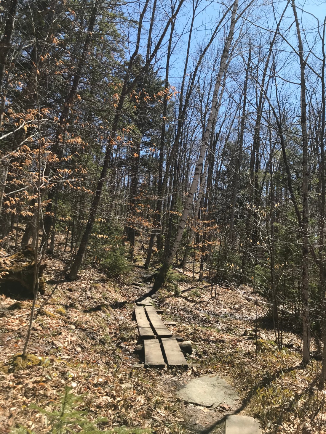 3F7ACCC4-54C0-43FB-AB3E-B9A3A2D70FCF