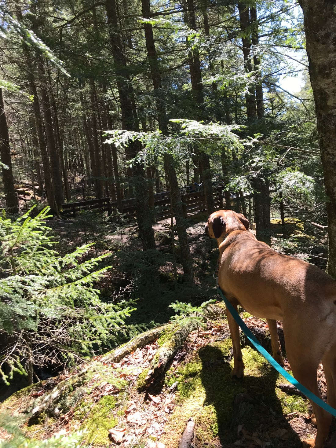 4810C71E-78DE-4C25-A92B-D287292C8949