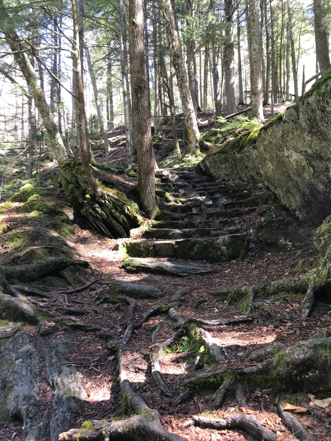 4A5ACDF1-C2D5-4D19-A3AF-926778CC972F