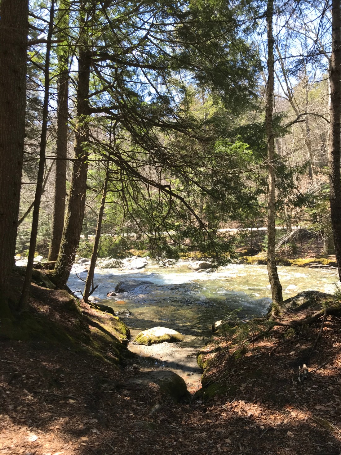 4D4666B7-23C1-4D76-AC62-19D09BDA84BC