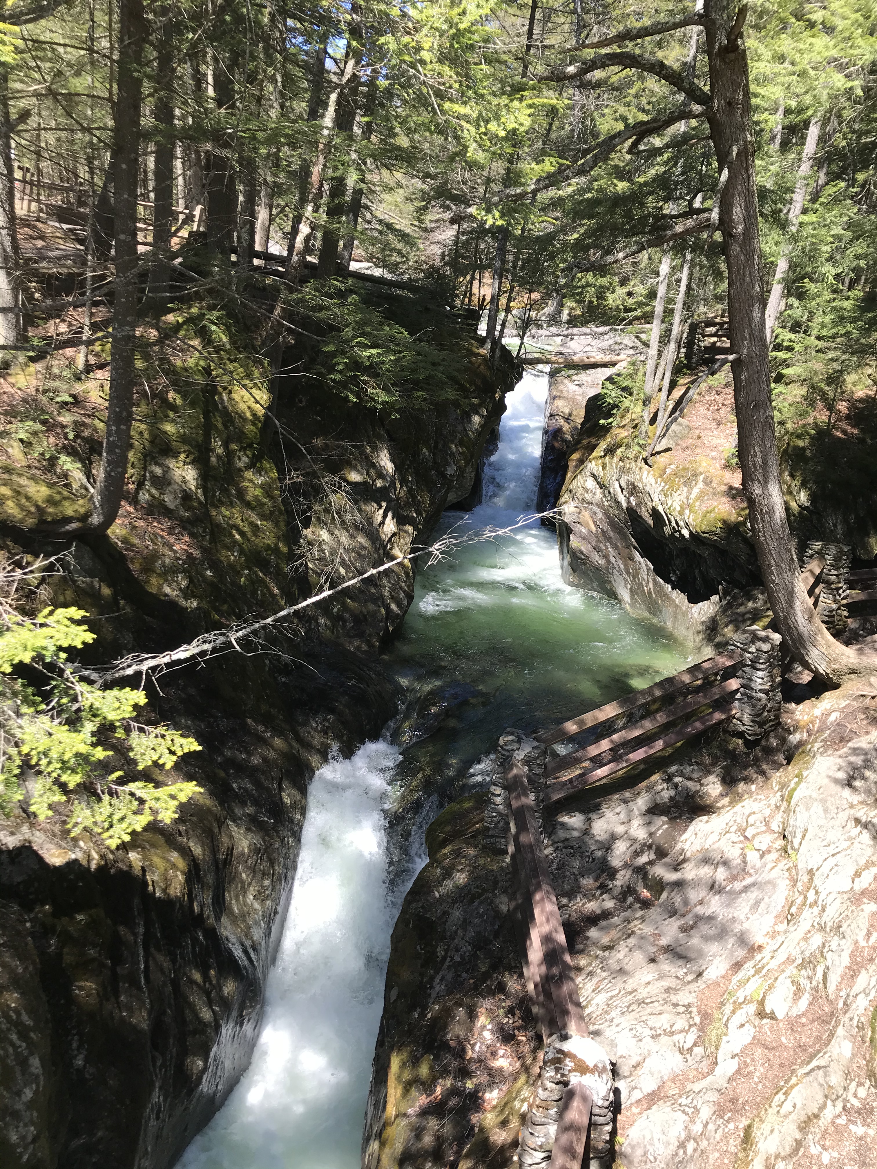 4F193C38-DAB0-47BD-ABA5-6474E92533F2