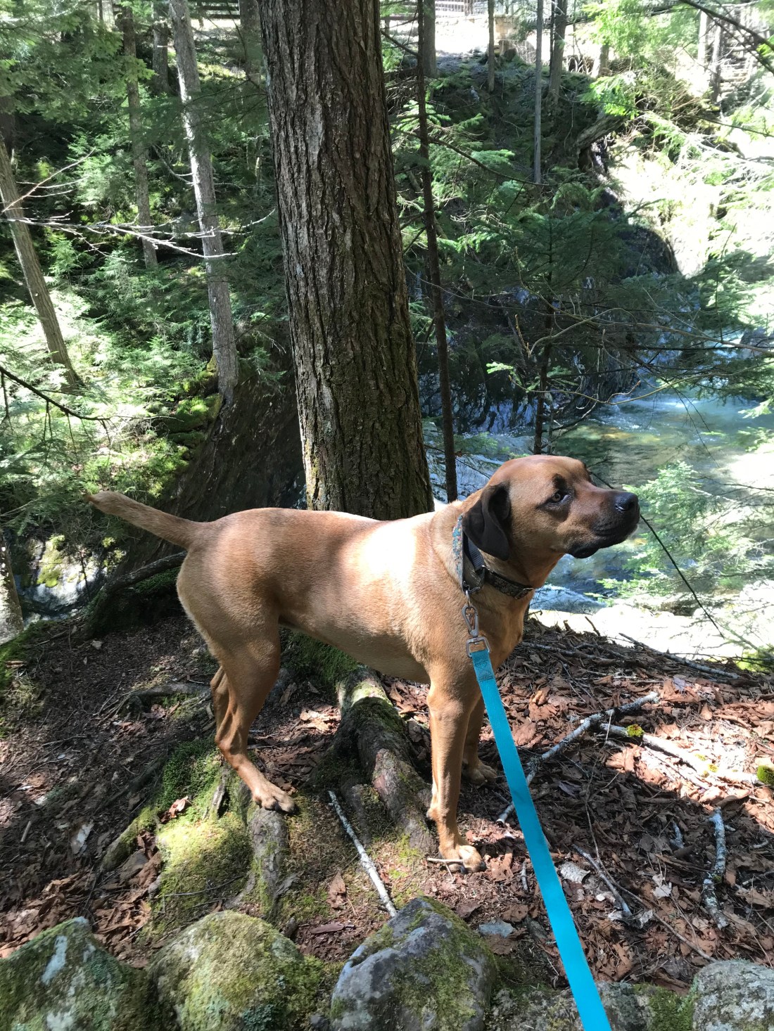 5017B1AE-FA64-43B6-BE56-39E70D88B33E