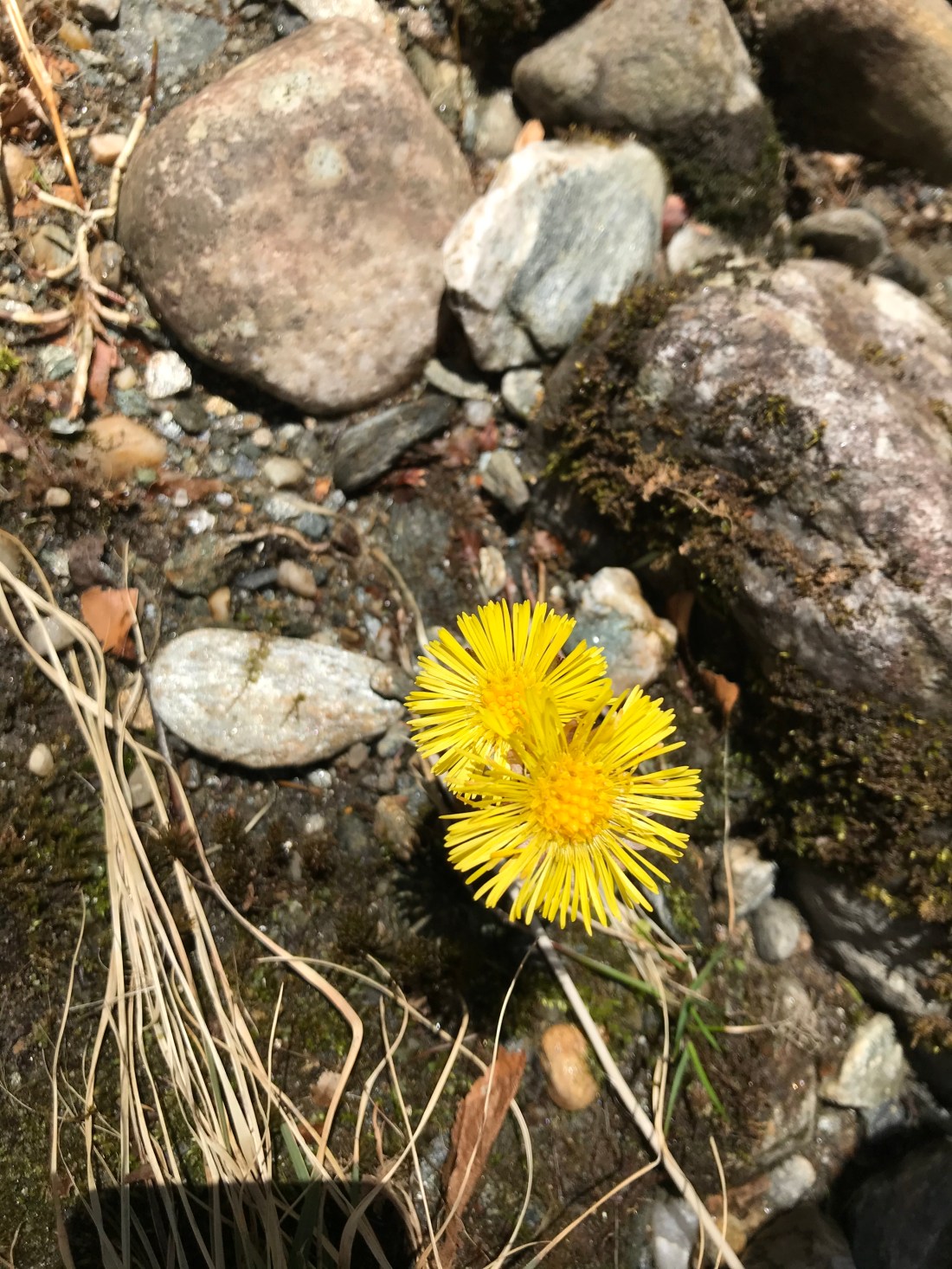 5644346B-B259-4BDA-8D7A-DAAF6D333156