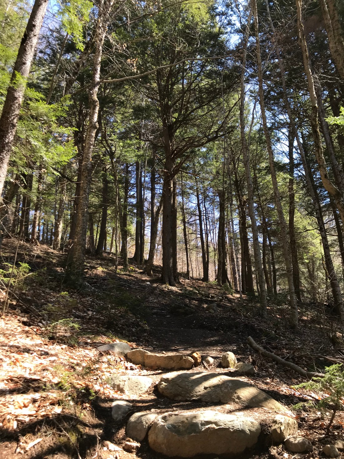 71F6E80C-79CB-4C8E-A4EF-A68B16CD503C