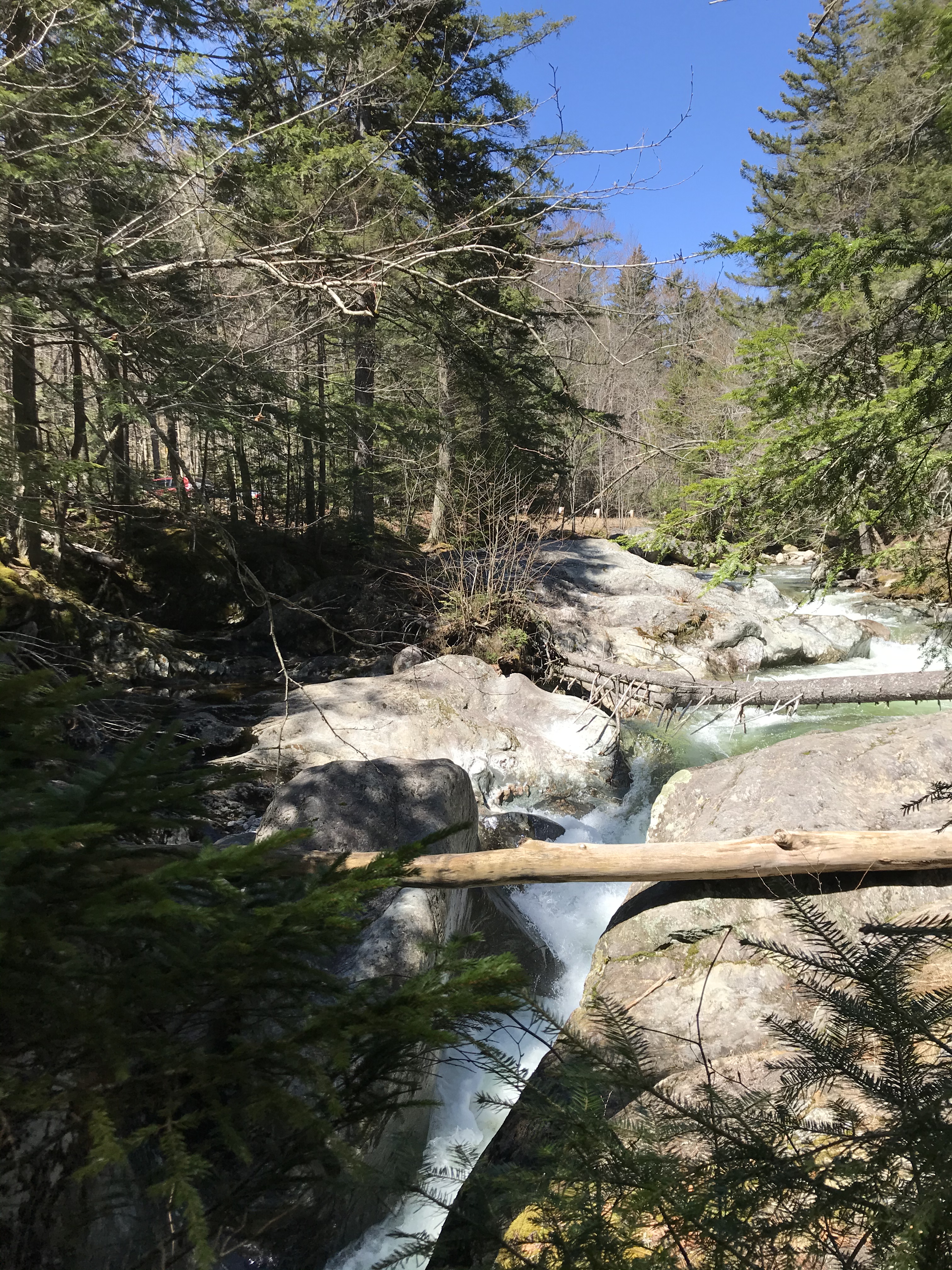 736873E3-4742-406C-B00A-15E667C29CFF