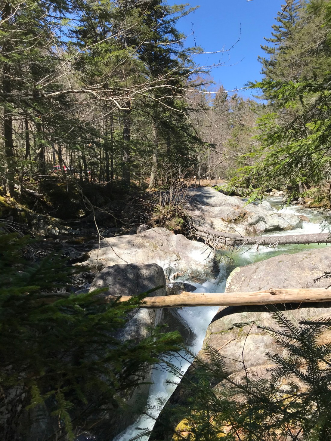 736873E3-4742-406C-B00A-15E667C29CFF