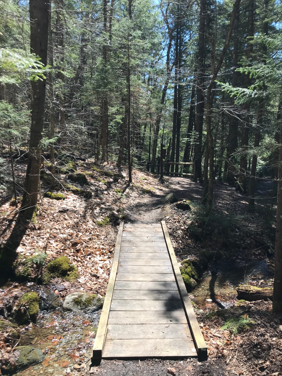 78429B3F-83C6-4D4D-AEFD-3FEC8DECEB30