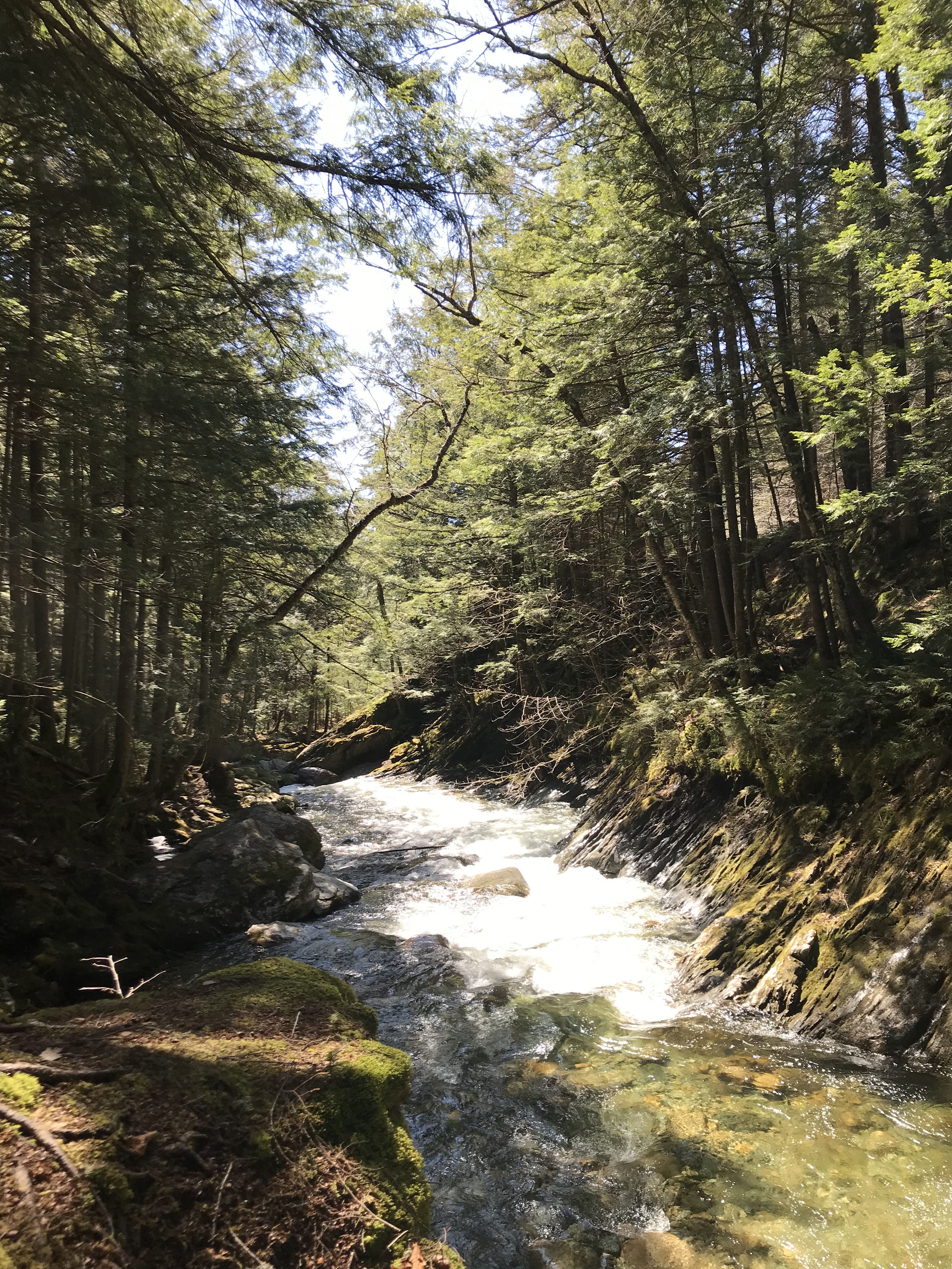 7AEAD3E4-342E-4BE7-9052-83A6A59B2E51