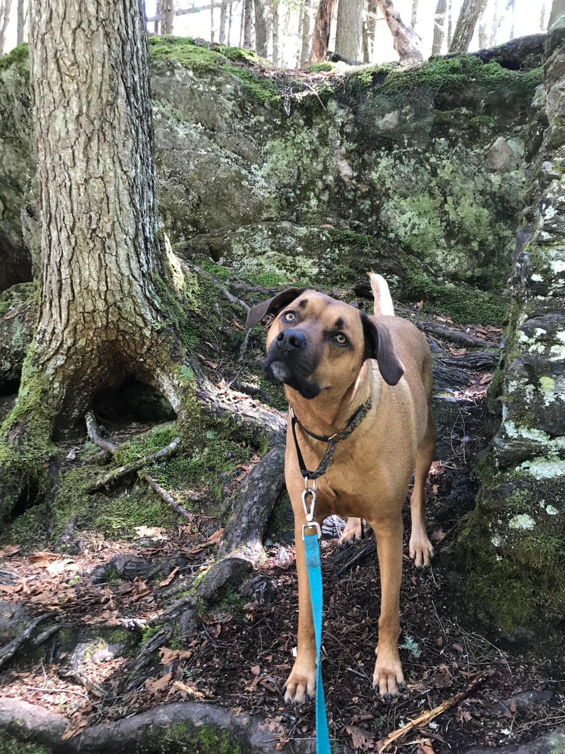 7FBC8D29-D923-45D4-963A-355D67B73741