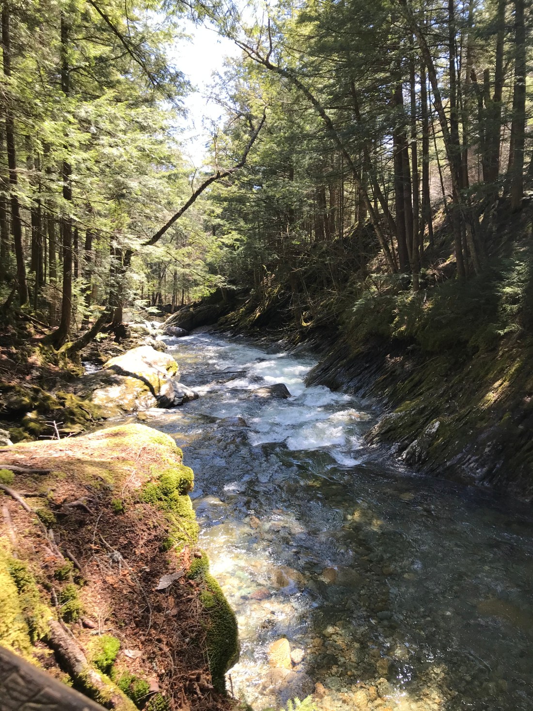 80EDCEF5-5B05-494A-996B-1FEAEBDE8CF6