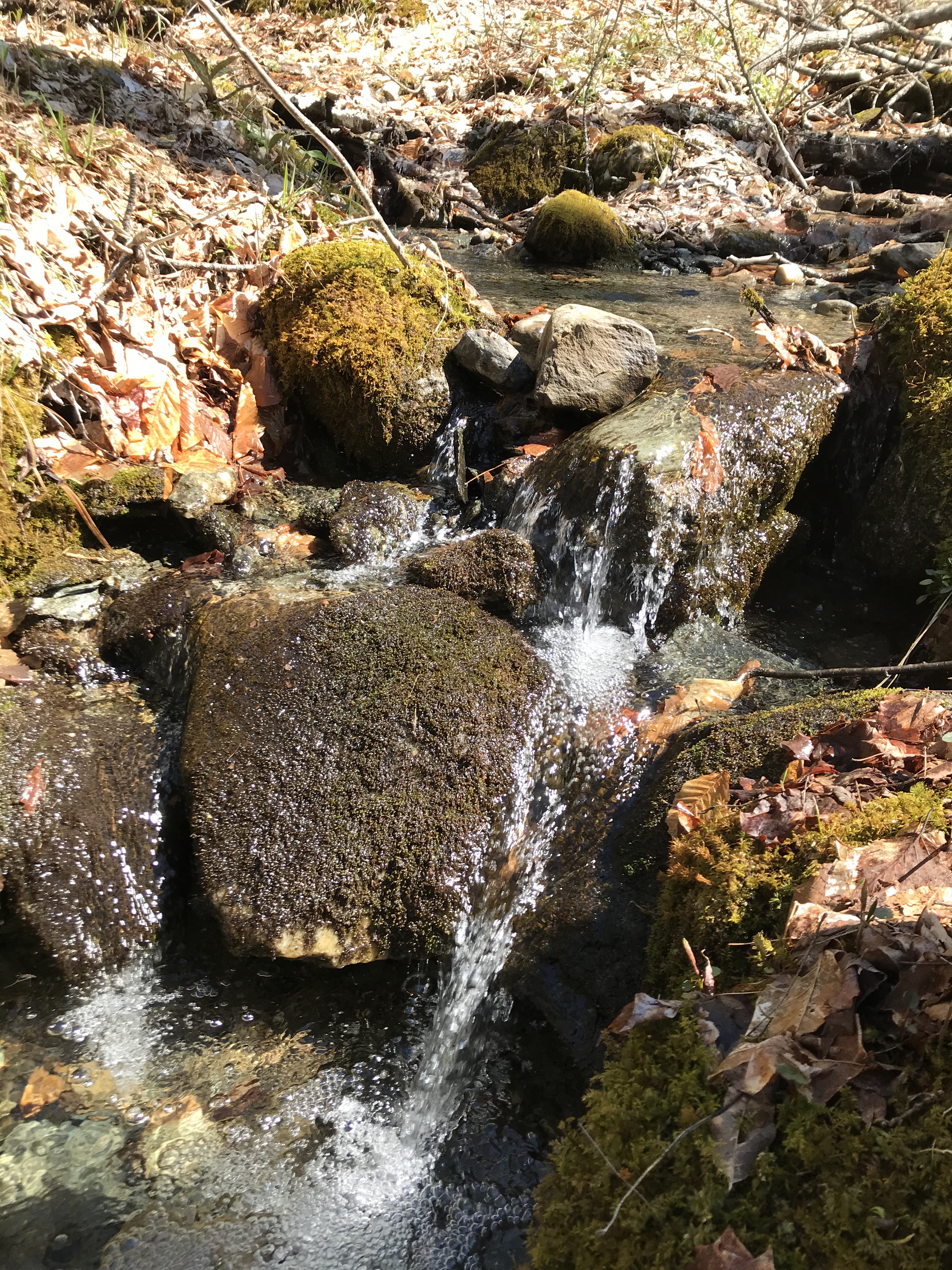 84779FCE-9339-467C-B69C-6FBF74CF8718