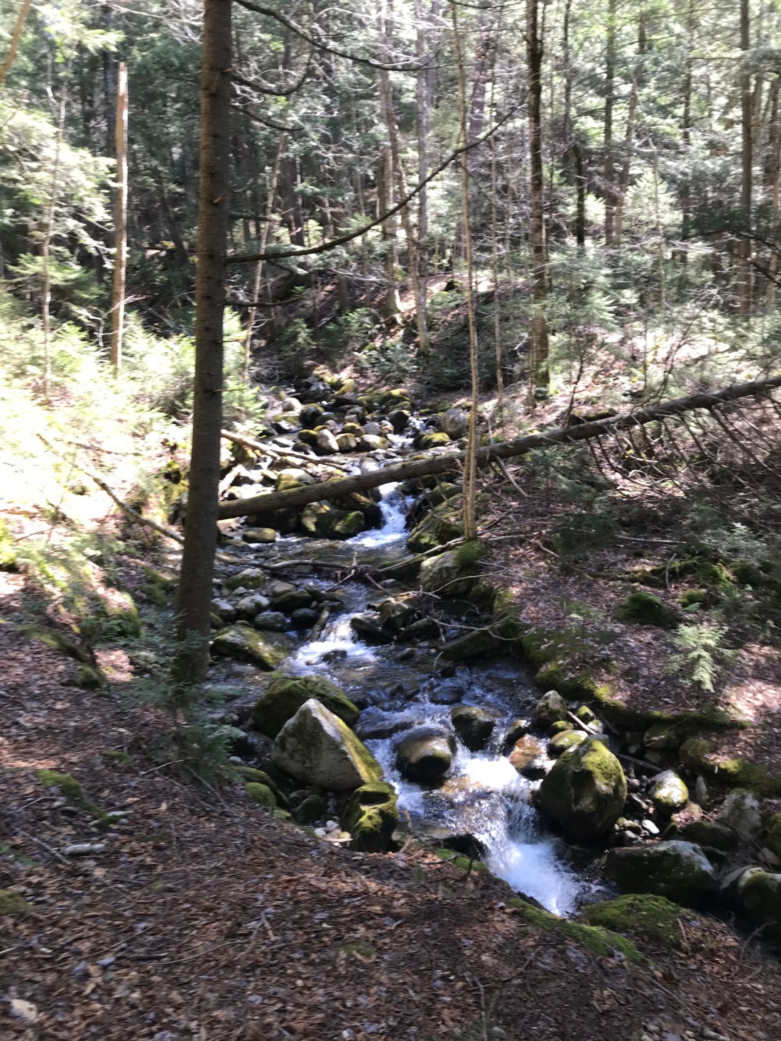 87B4C6FA-77C0-4126-AAD2-397D3F3353FE