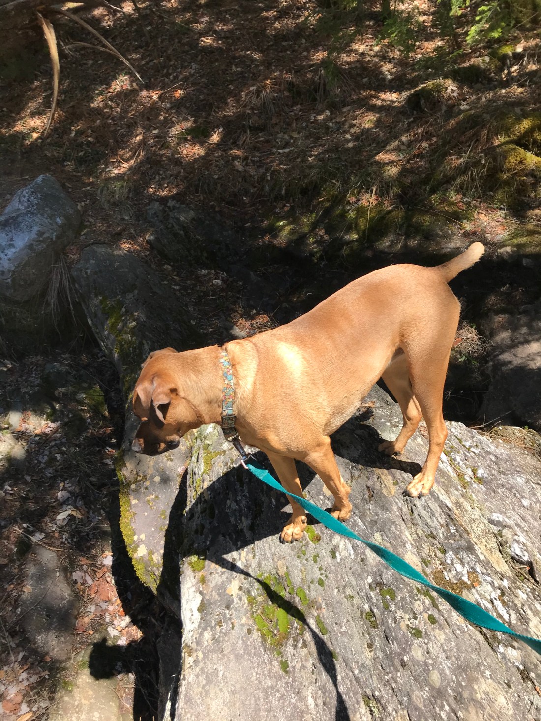 93D84BAD-6EC7-4201-A601-363B32CEE8E2