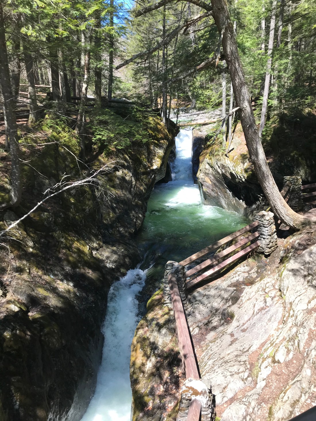 9CD8EFF8-C127-4C6A-86DA-988311FBDF1A