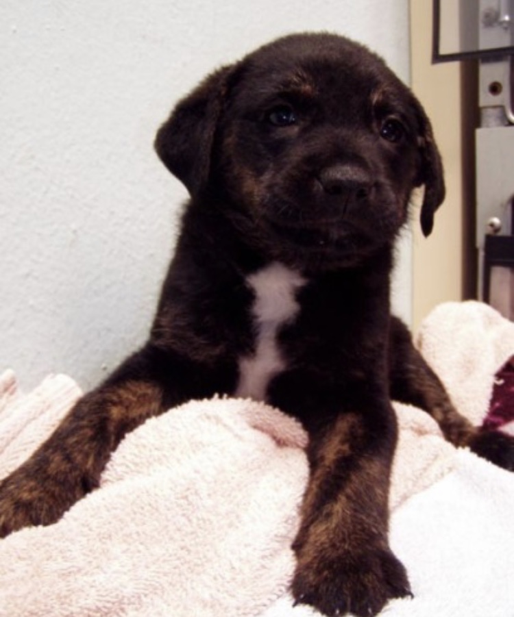 A23E25A8-BDA0-43D8-B67A-409920F6D8F1