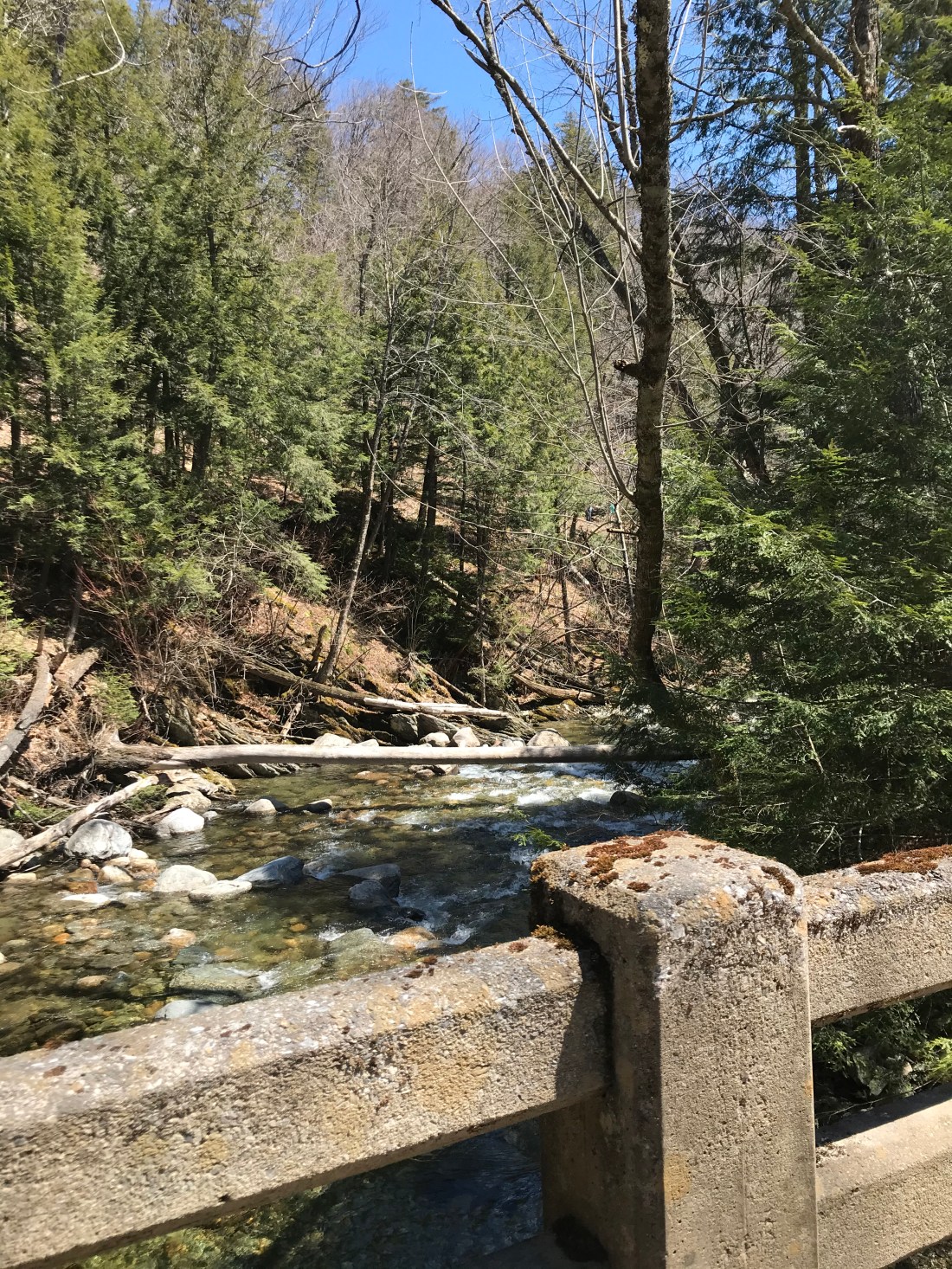 A3D42883-4707-4152-8905-C655FC36D4F8