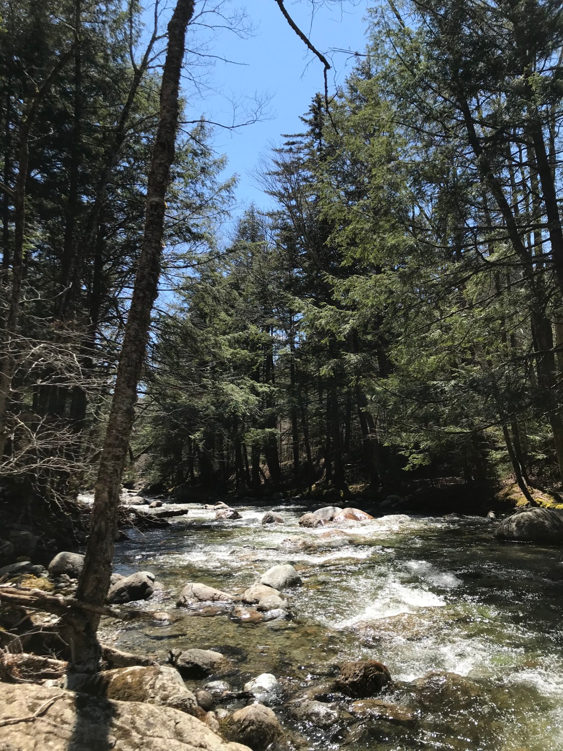 A6C92BCD-04D2-490F-A9A6-2538E3BEA40A