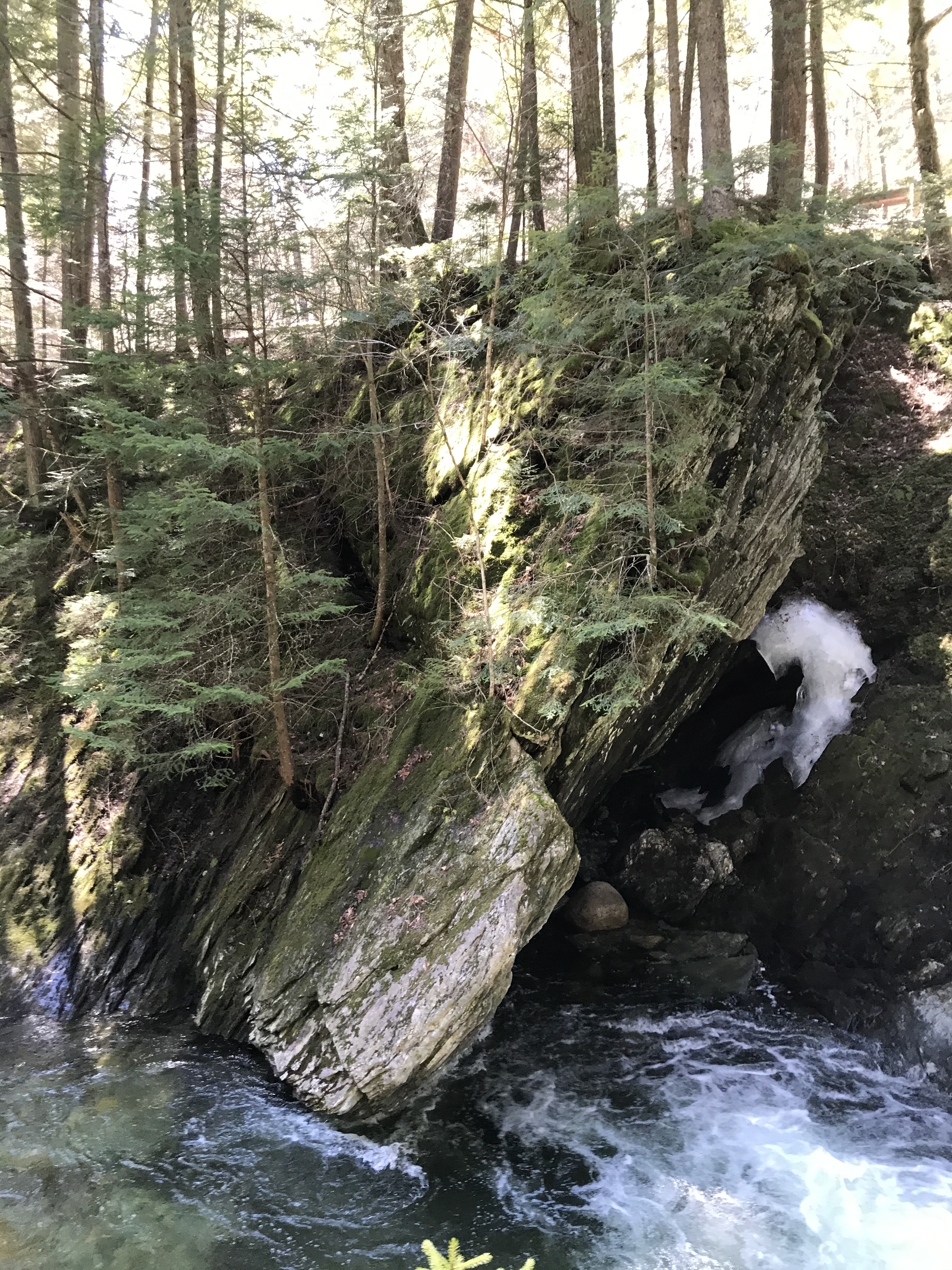 B846222F-2D63-4C70-B1DC-79BB17320FA8